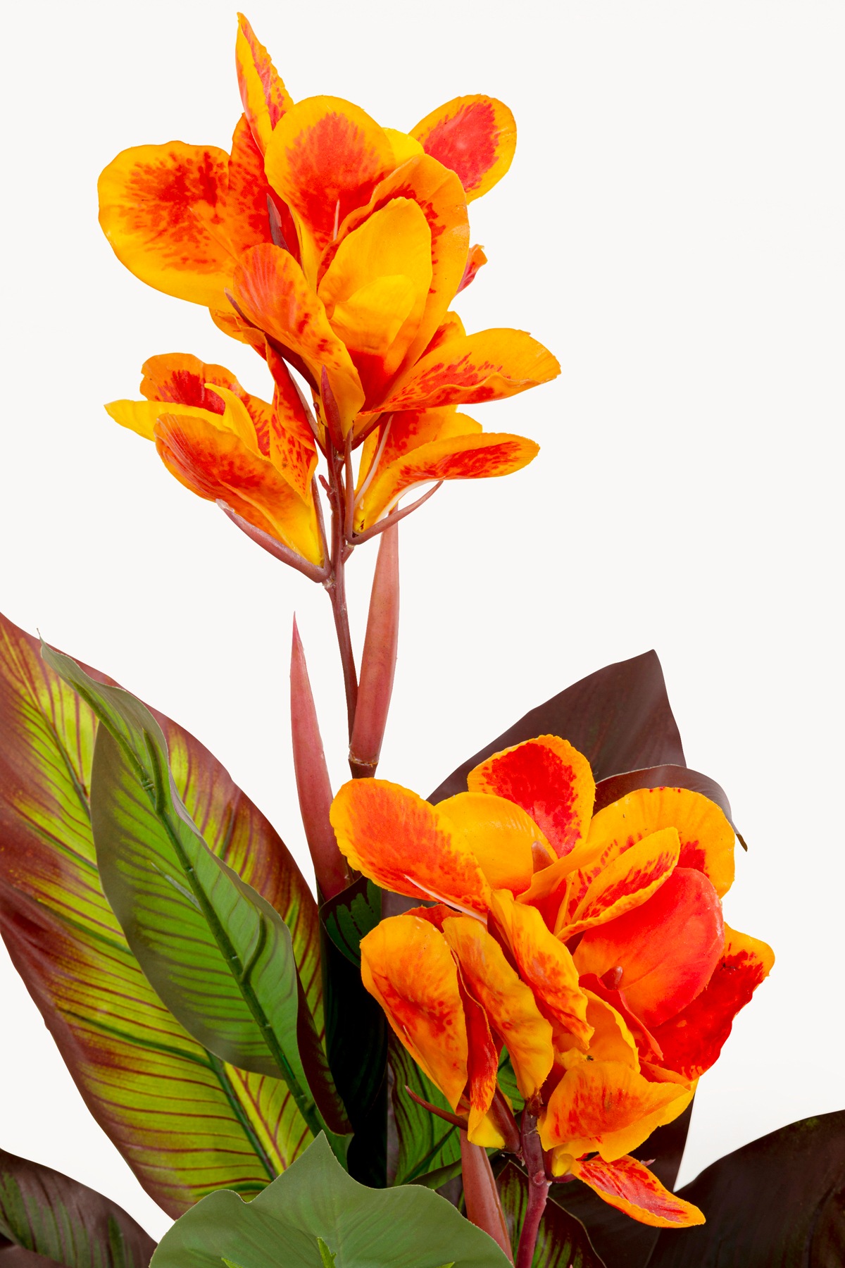 Kare Design Künstliche Zimmerpflanze »Deko-Pflanze Canna Lily« 115 oder 165 cm Höhe