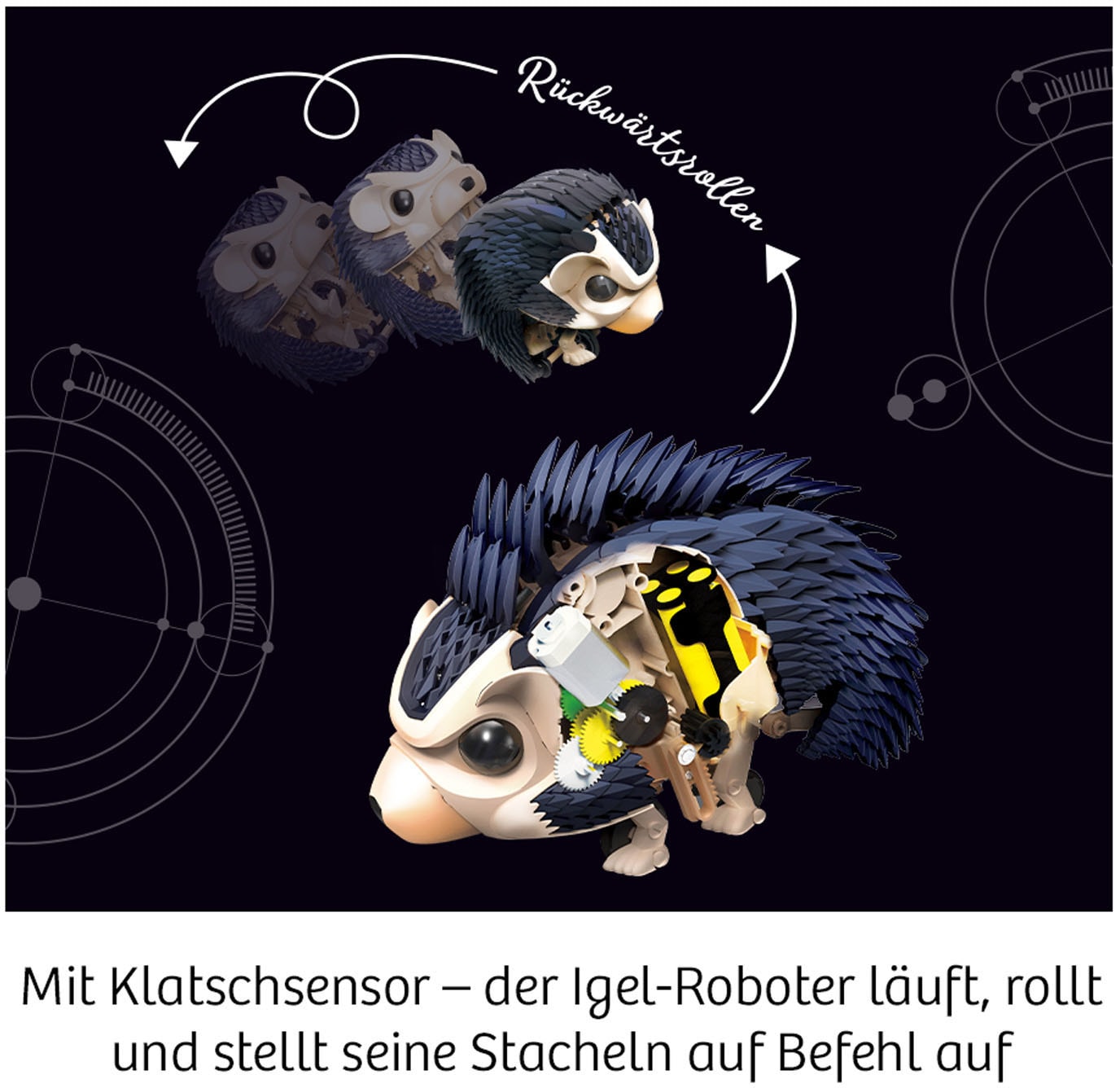 Kosmos Modellbausatz »Nuna - Dein Igel-Roboter«, mit Soundsensor