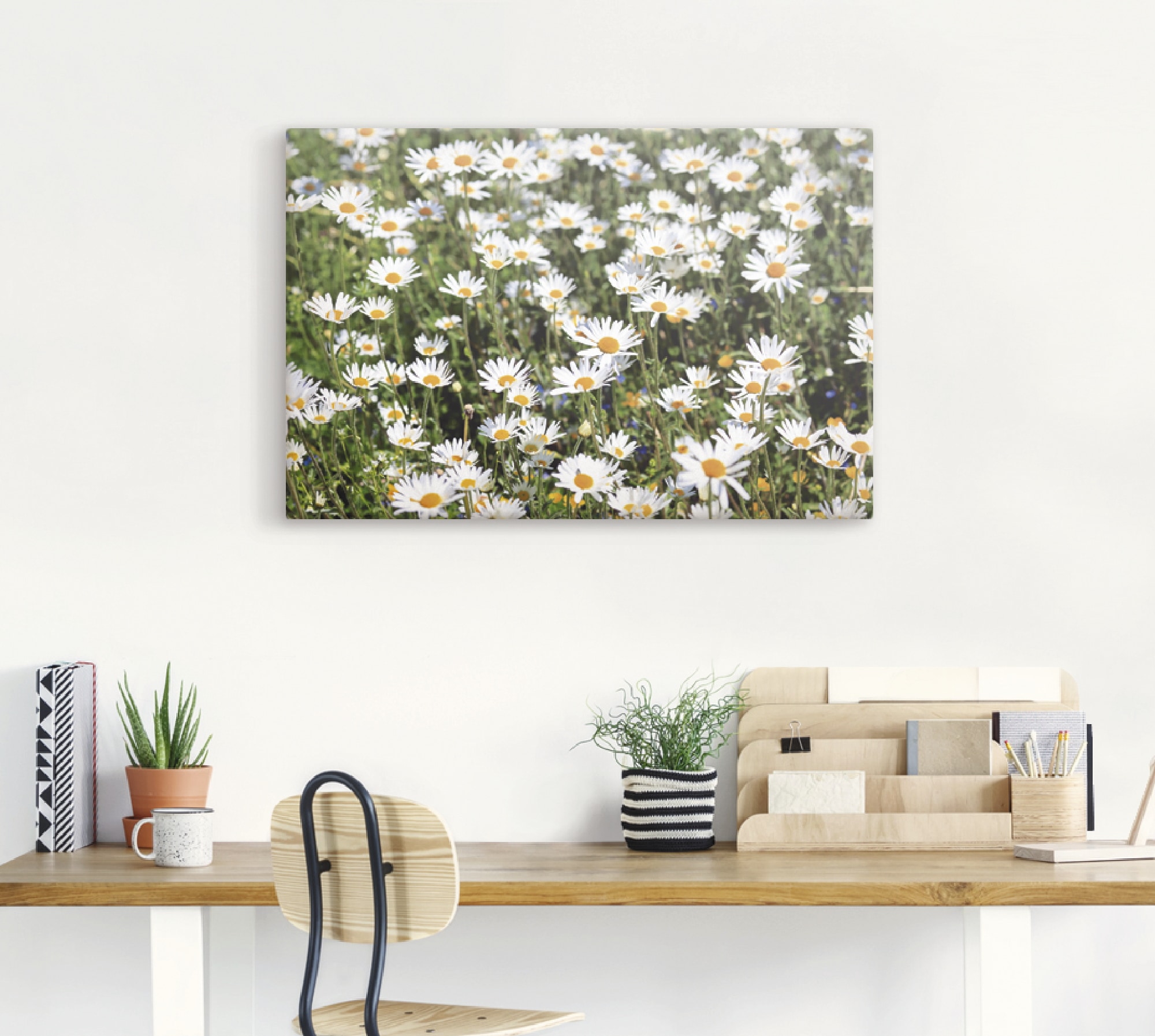 Artland Wandbild »Gänseblümchen«, Blumen, (1 St.), als Alubild, Outdoorbild, Leinwandbild in verschied. Größen