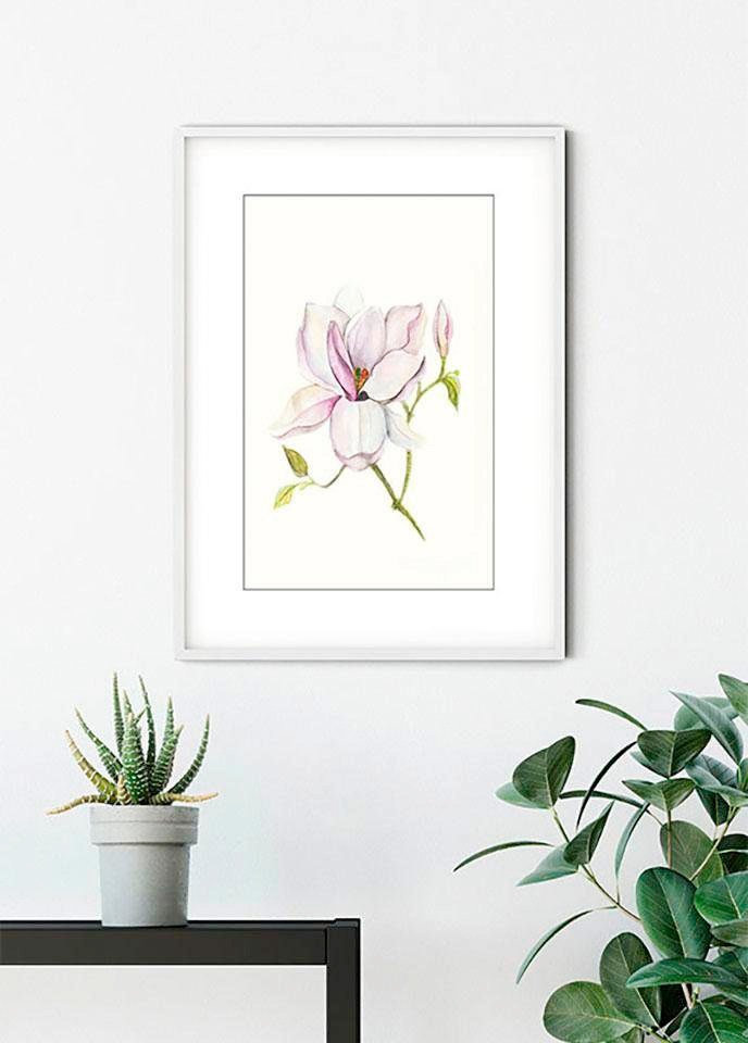 Komar Bild »Magnolia Shine«, Pflanzen-Blätter, (1 St.), Wandbild zur Dekoration - ohne Rahmen