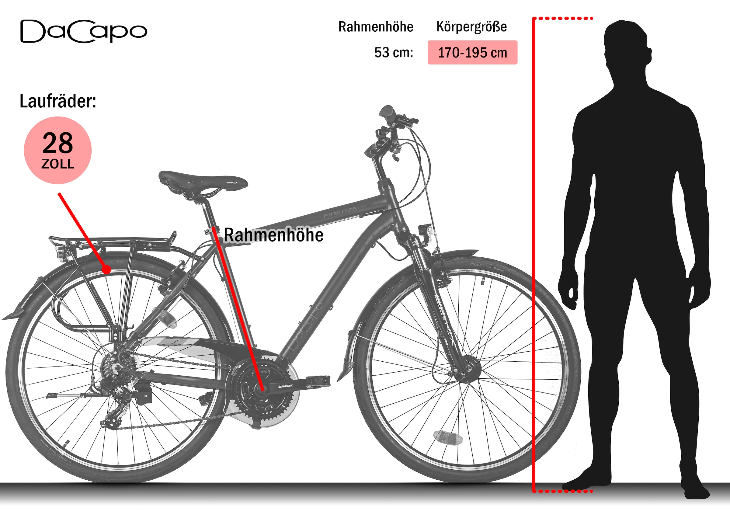 Dacapo Trekkingrad »Firenze 100 Anthrazit 21 Gänge RH 53 cm V-Brakes« 21 Gang Shimano Tourney Schaltwerk Kettenschaltung