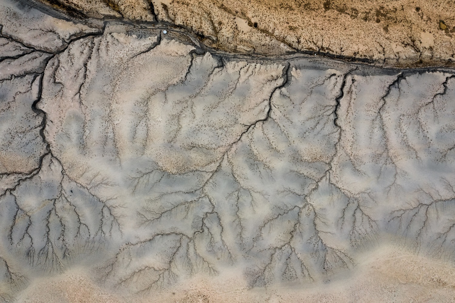 queence Leinwandbild »Earth« Felder 1 Stk. tlg. mit sehr guten Schallabsorp günstig online kaufen