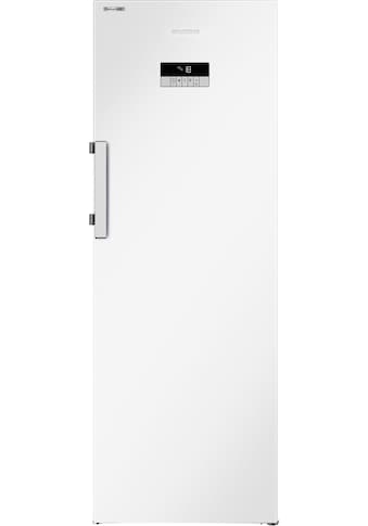 Grundig Gefrierschrank »GFN 13740 N«, 171,4 cm hoch, 59,5 cm breit kaufen Grundig Gefrierschrank »GFN 13740 N«, 171,4 cm hoch, 59,5 cm breit kaufen