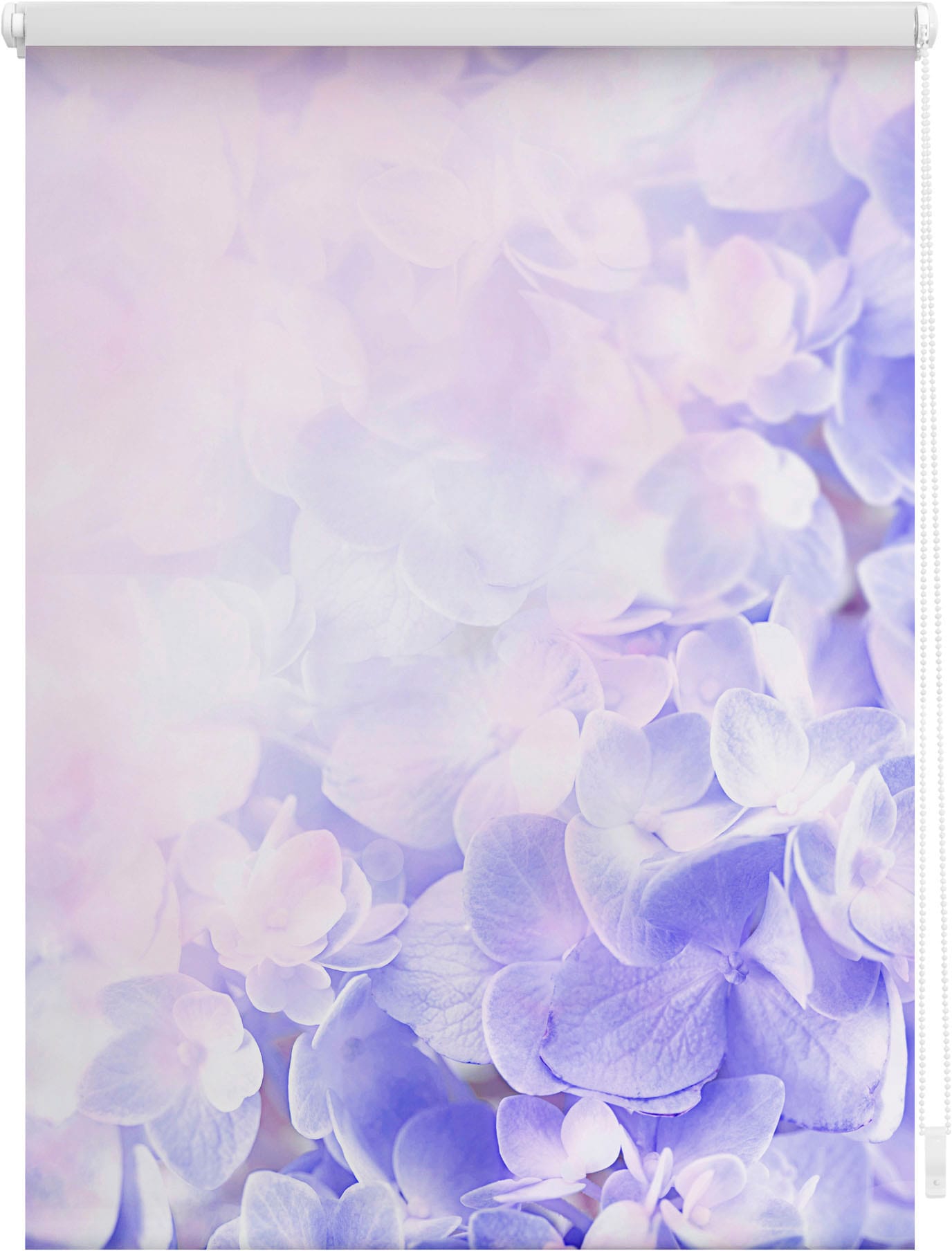 LICHTBLICK ORIGINAL Seitenzugrollo »Rollo Klemmfix, ohne Bohren, Verdunkelung, Hortensie - Lila« verdunkelnd Verdunkelung | energiesparend freihängend