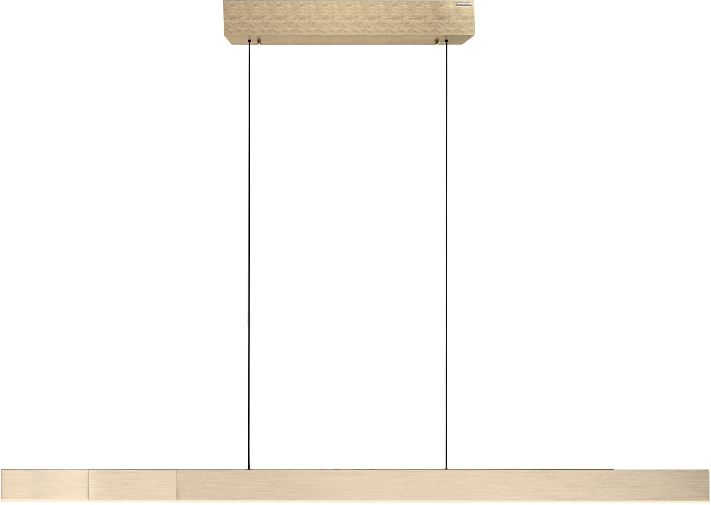Neuhaus PURE LED Pendelleuchte »PURE Moto-Rise« LED-Board 1 Stk. warmweiß - kaltweiß e-LIFT® Funktion, e-SLIDE® Funktion, Fernbedienung