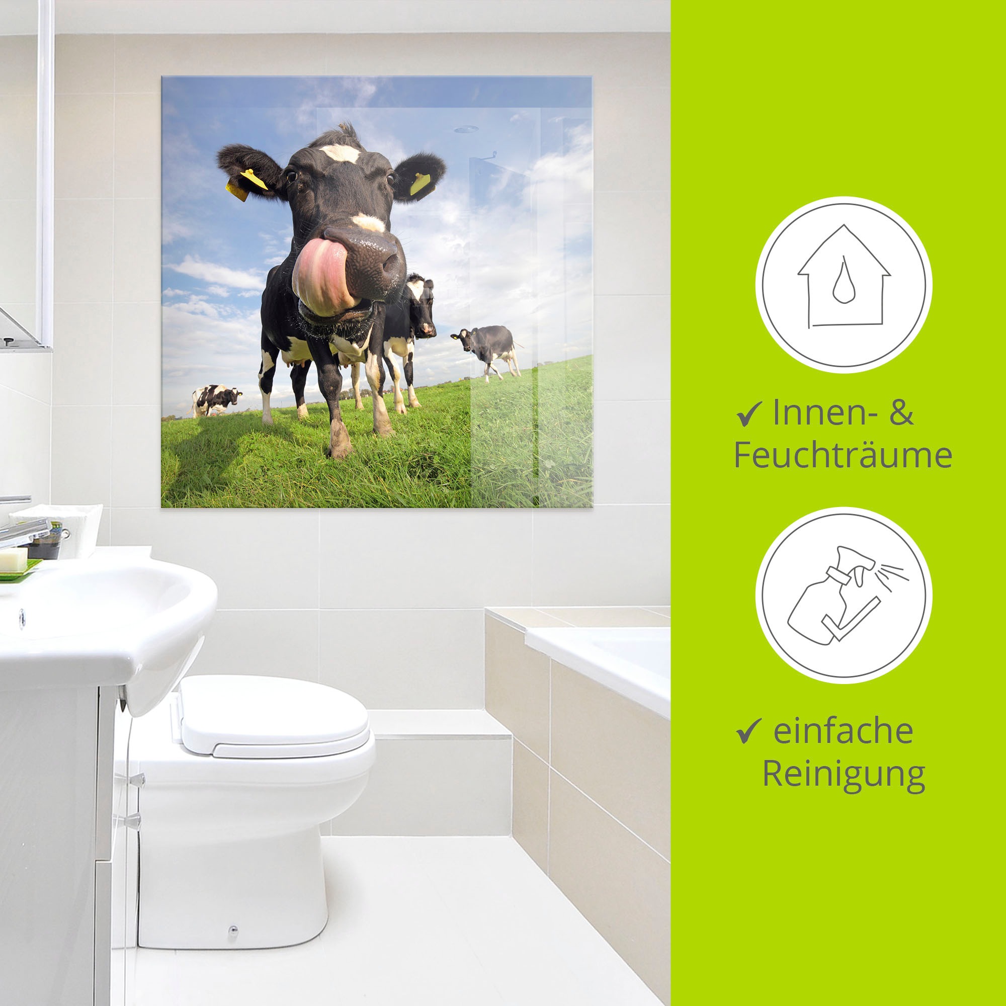 Artland Glasbild »Holstein-Kuh mit gewaltiger Zunge«, Haustiere, (1 St.), in verschiedenen Größen