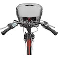 Telefunken E-Bike »RC657 Multitalent«, 7 Gang, Shimano, Nexus, Frontmotor 250 W