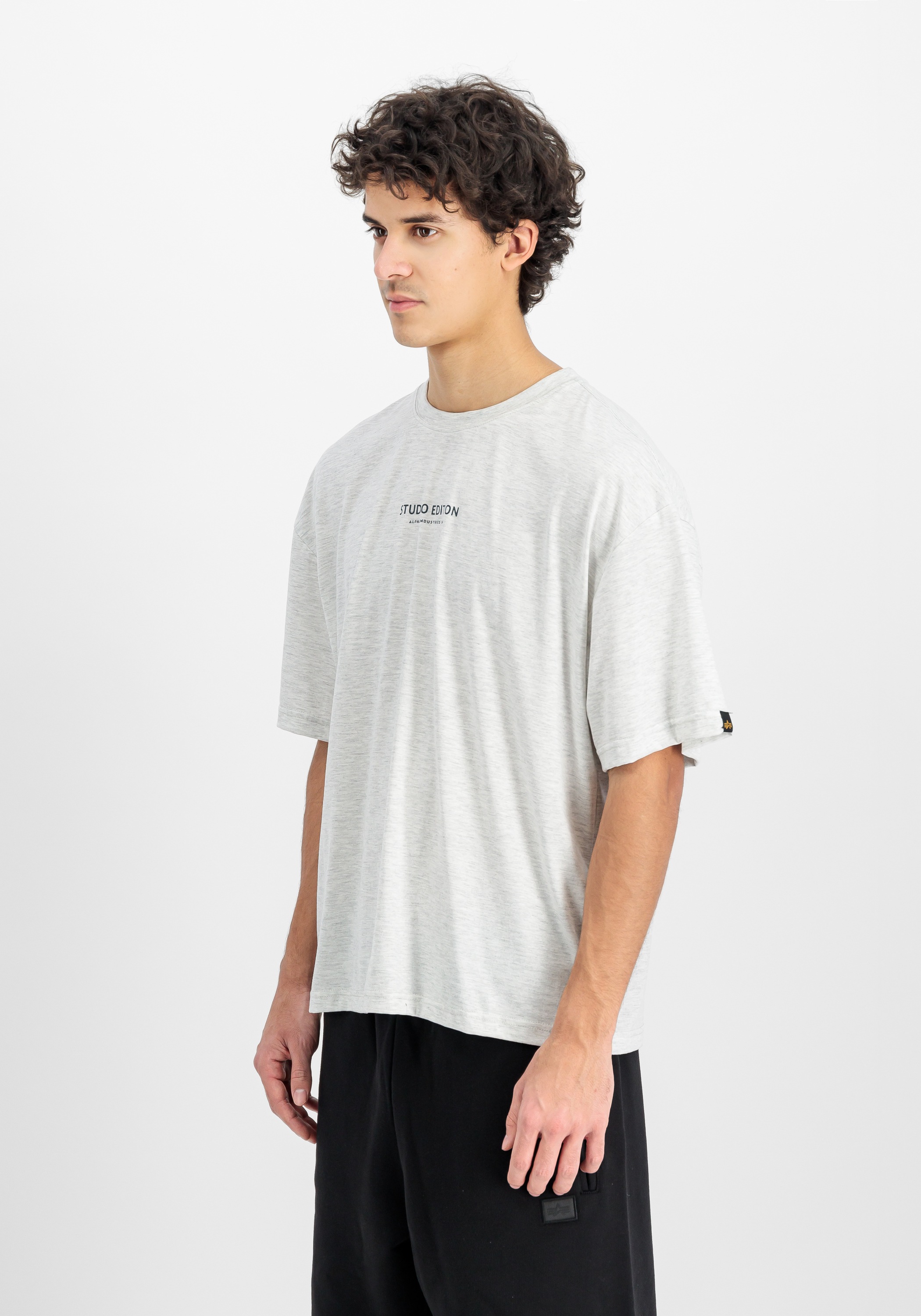 Alpha Industries T-Shirt »Alpha Industries Men - T-Shirts Studio Edition Backprint T-Shirt«