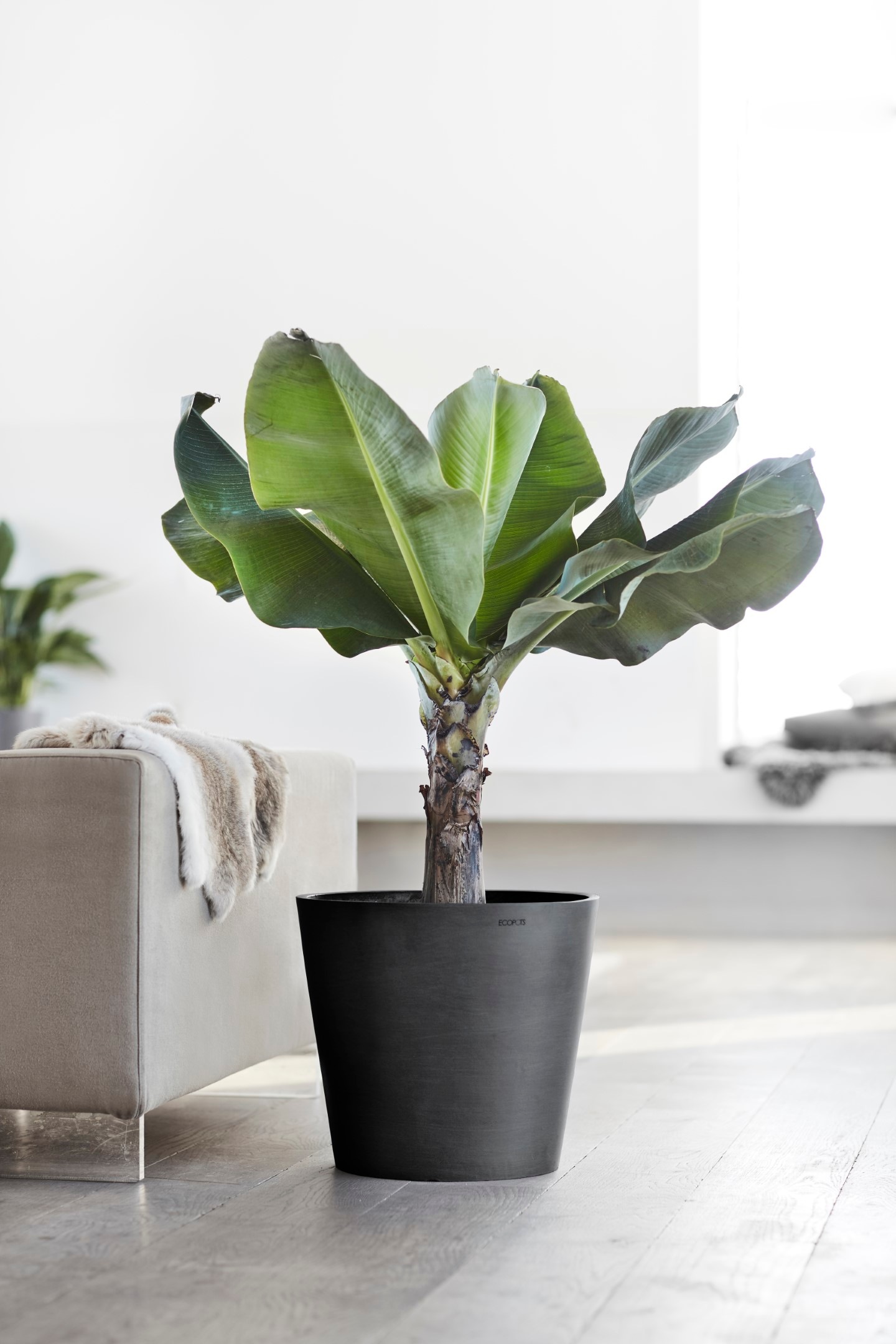 ECOPOTS Blumentopf »AMSTERDAM Dark Grey«, BxTxH: 40x40x35 cm, mit Wasserreservoir
