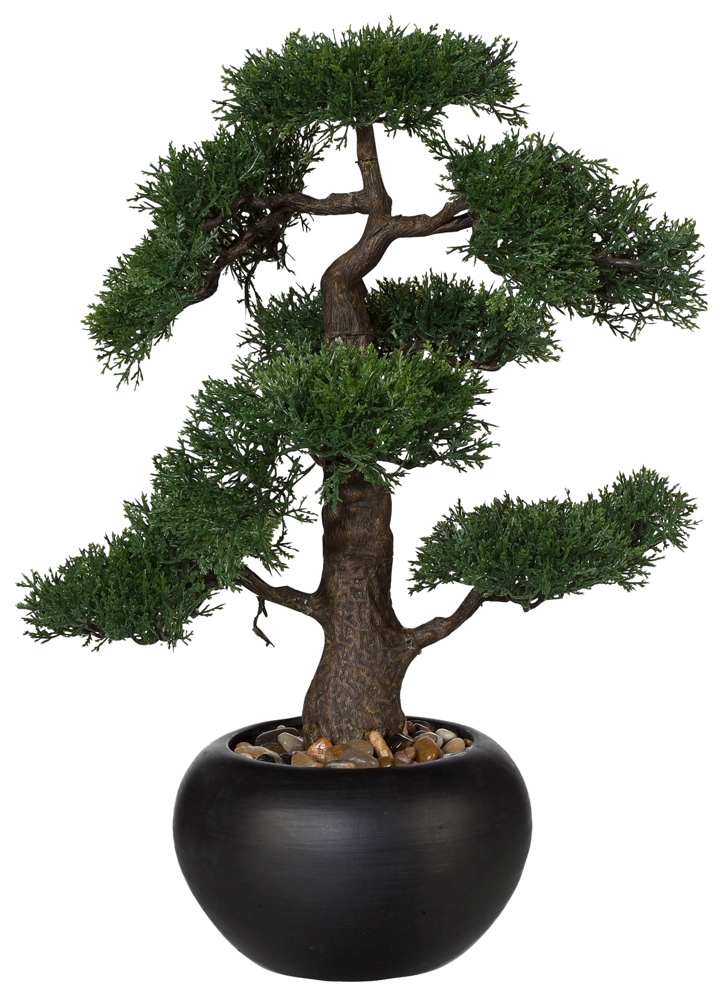Creativ green Kunstpflanze »Bonsai«, (1 St.) kaufen