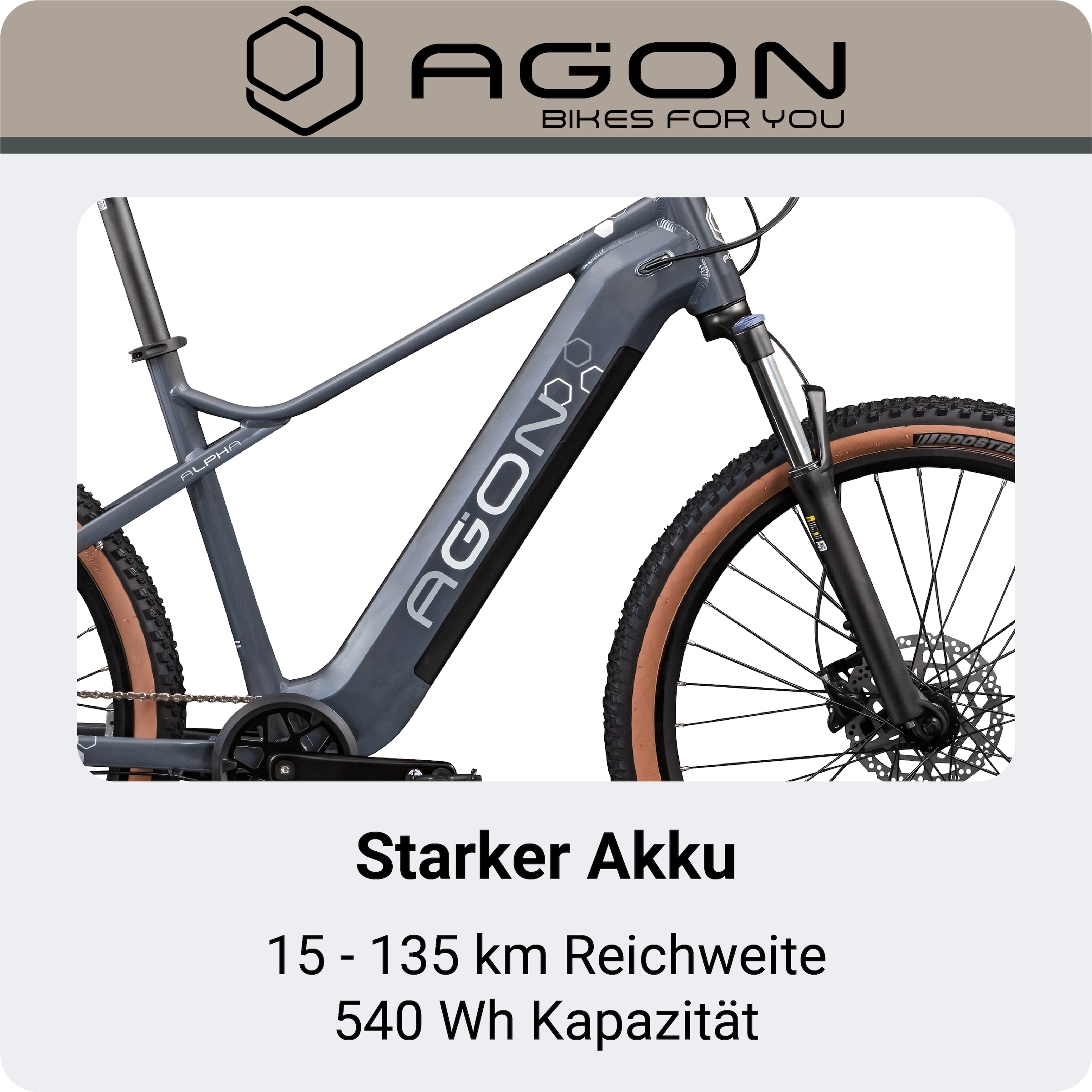 AGON »Alpha« 10 Gang Deore SGS T6000 Schaltwerk Kettenschaltung Heckmotor 250 W Pedelec, Elektrofahrrad für Damen u. Herren, MTB