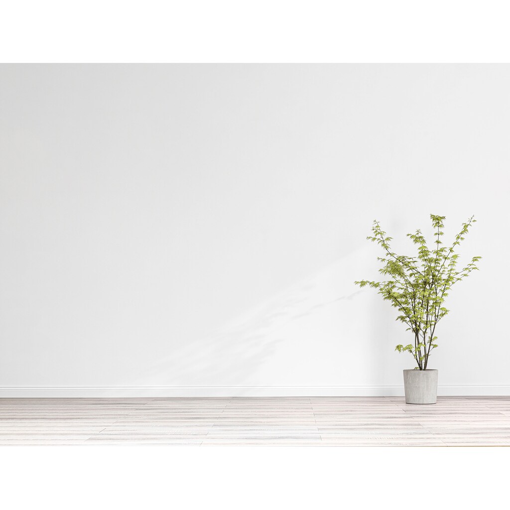 SCHÖNER WOHNEN FARBE Wand- und Deckenfarbe »Naturell Mineralfarbe aus kontrollierten Rohstoffen«, hochdeckende, atmungsaktive Dispersions-Silikat-Wandfarbe