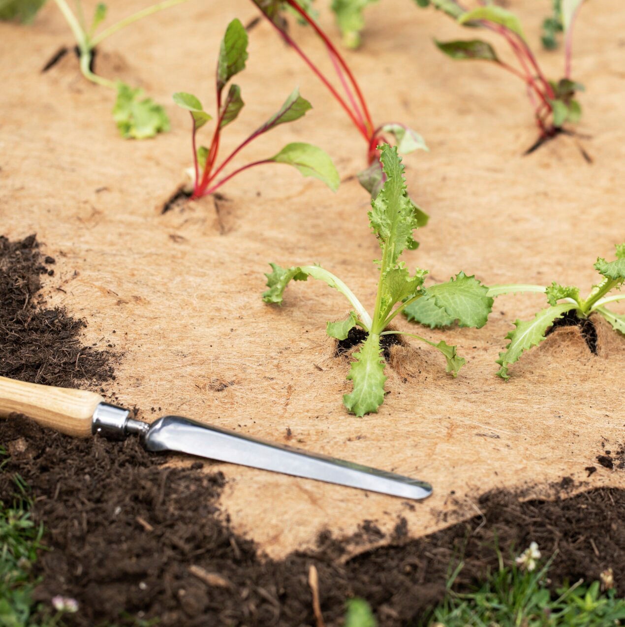 Windhager Gartenvlies »aus Jute, Mulchmatte fürs Beet« 1 Stk. tlg. Jutevlies, 0,75 x 4 m