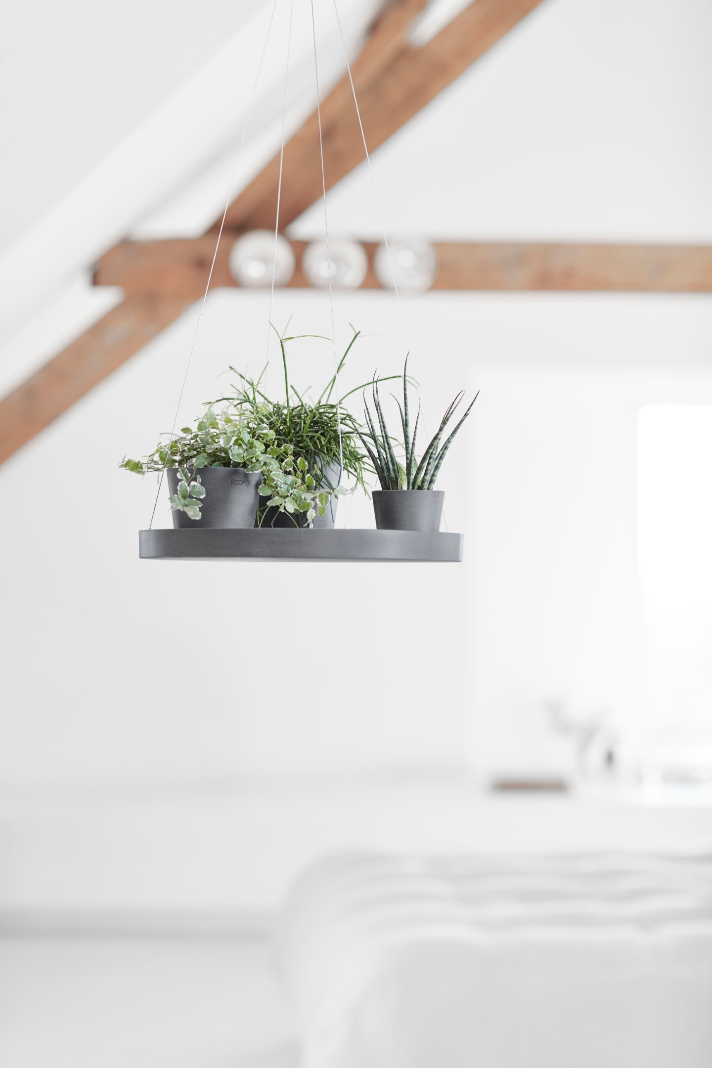 ECOPOTS Blumentopfuntersetzer »HANGING SAUCER Grey«, BxTxH: 36x36x3 cm