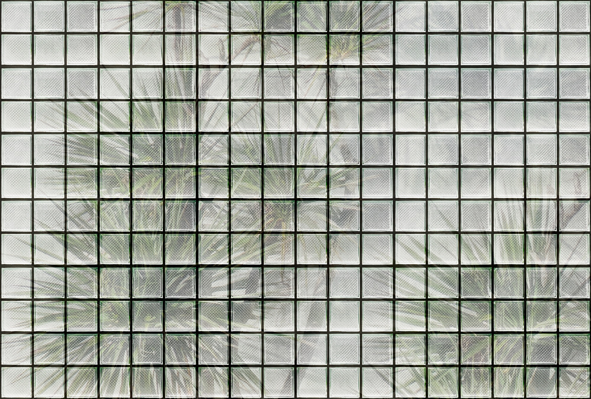 living walls Fototapete »Walls by Patel Greenhouse«, Vlies, Wand günstig online kaufen