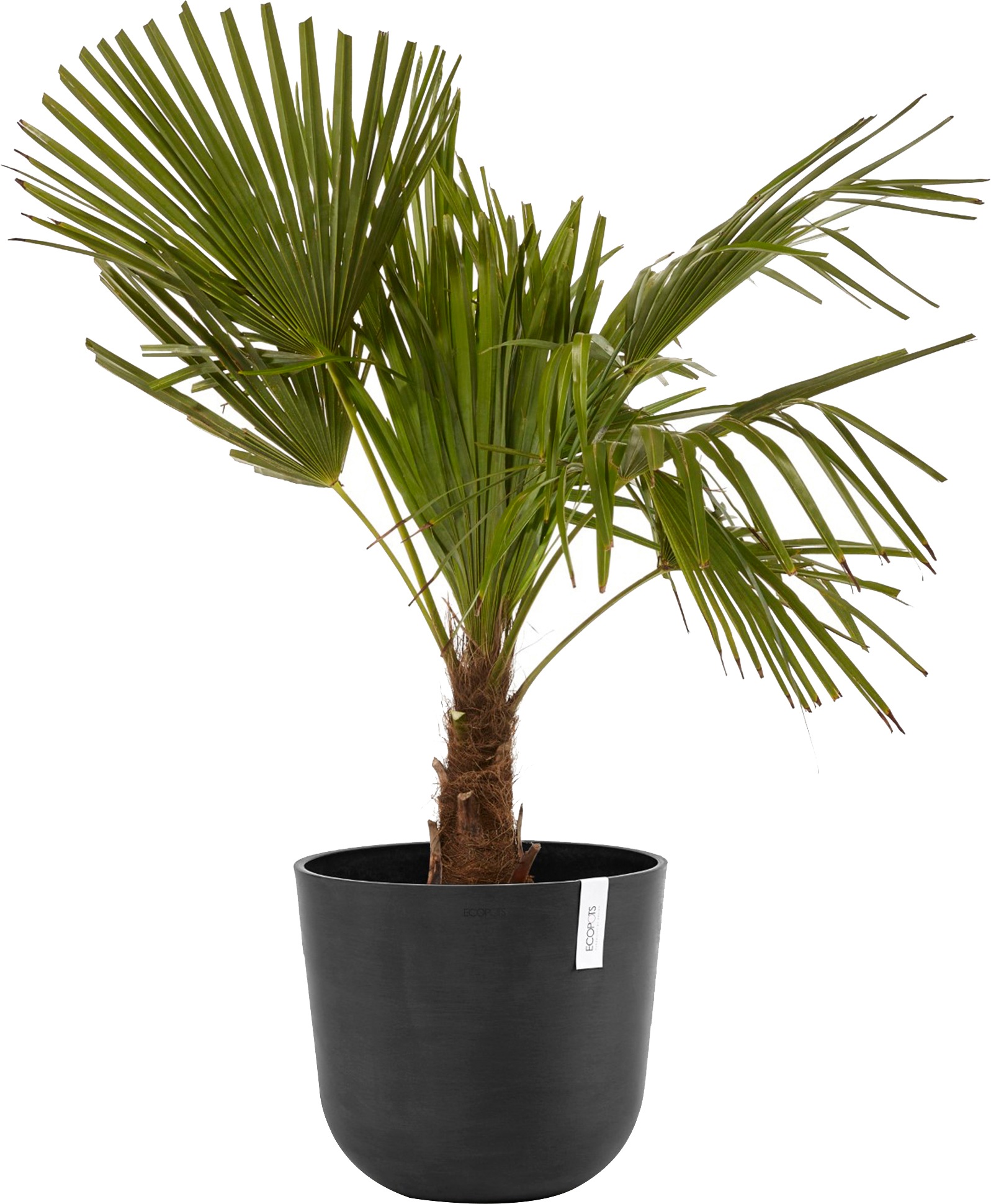 ECOPOTS Blumentopf »Oslo 35 Dunkelgrau«, für innen und außen: frostsicher, bruchsicher und lichtbeständig