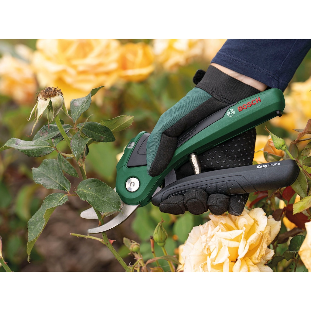 Bosch Home & Garden Akku-Astschere »EasyPrune«