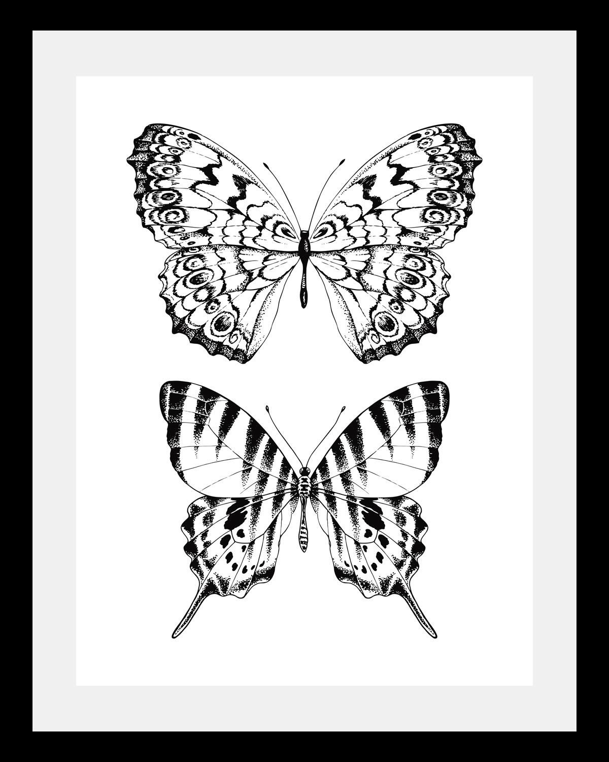 queence Bild »Schmetterlinge«, Tiere-Schwarz-Weiß-Kunst-Insekten-Schmetterl günstig online kaufen
