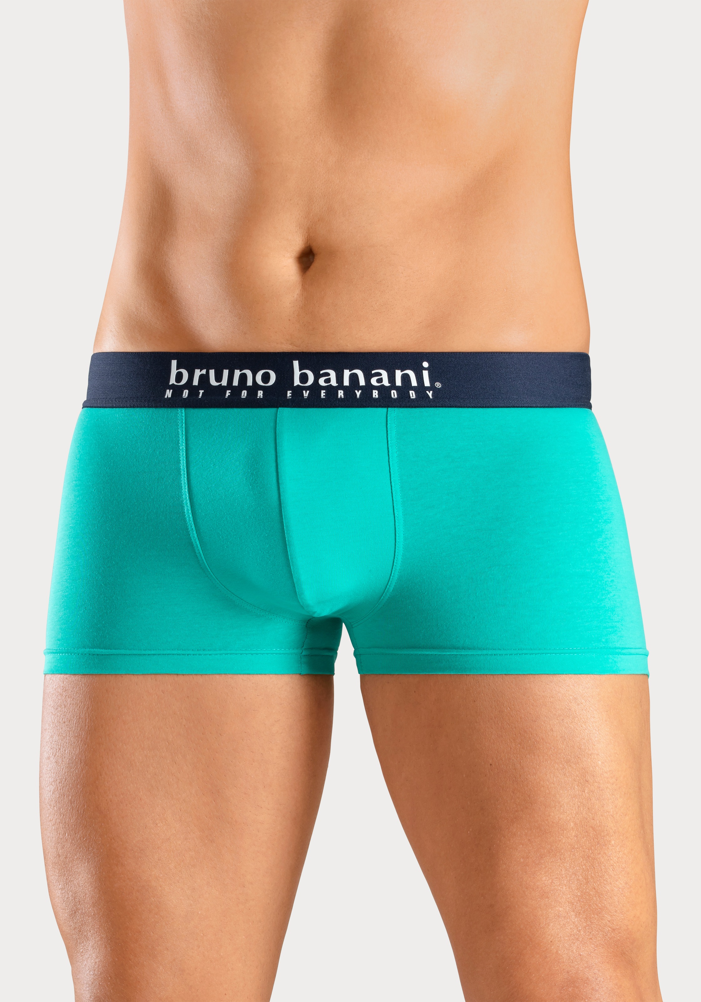 Bruno Banani Boxer »Boxershorts für Herren«, (Packung, 4 St., 4er-Pack), mit Palmendruck und unifarben aus Baumwollmischung