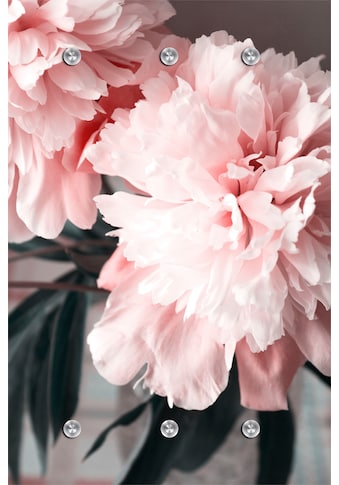 queence Garderobe »Blume« kaufen