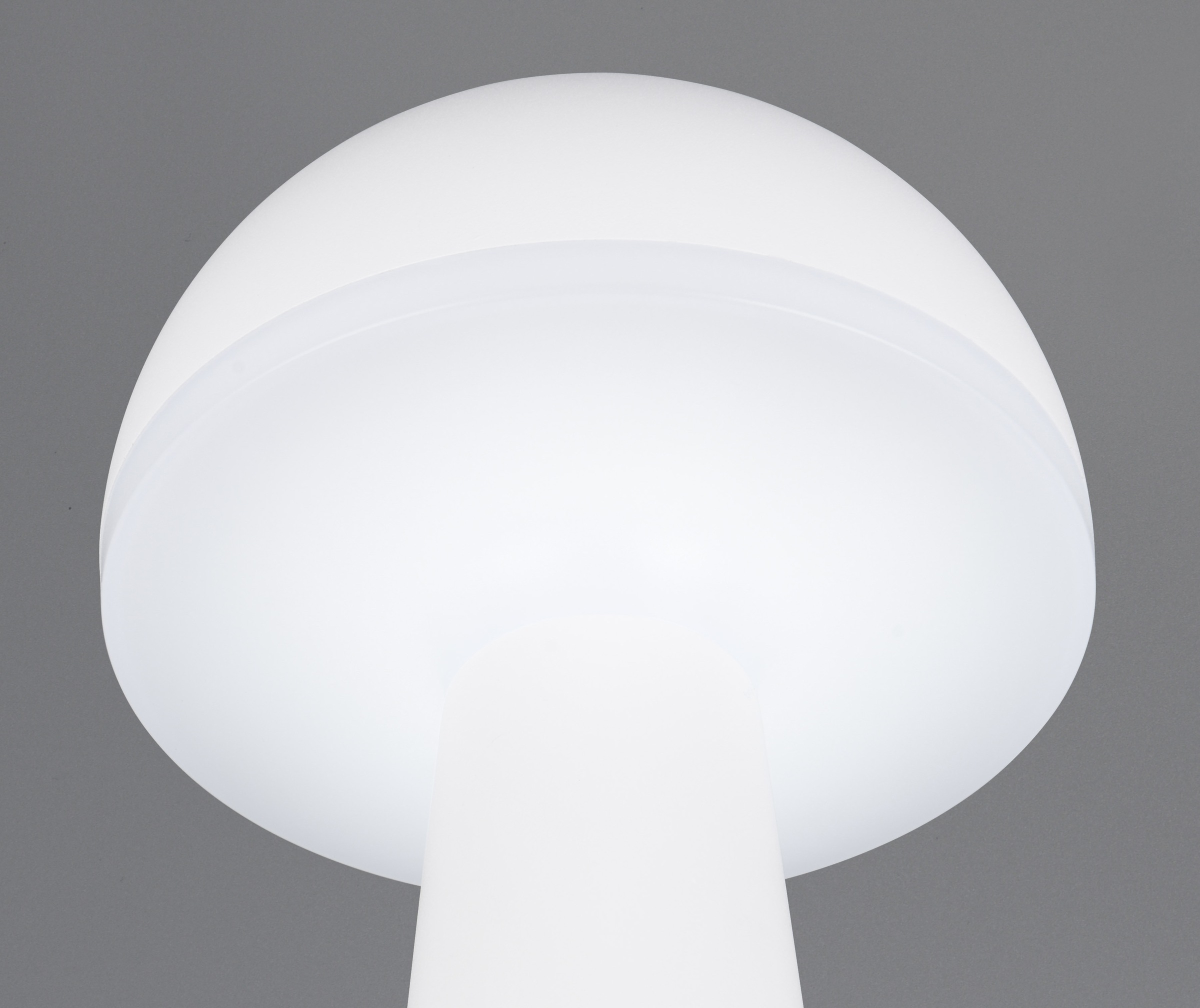 REALITY Leuchten LED Außen-Tischleuchte »FUNGO«, 1 flammig, Leuchtmittel LED-Board | LED fest integriert, Outdoor Akku Tischlampe inkl Ladestation USB-C, Lichtfarbe einstellbar