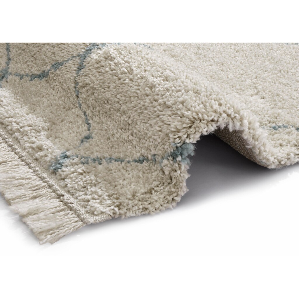 freundin Home Collection Hochflor-Teppich »Primrose«, rechteckig