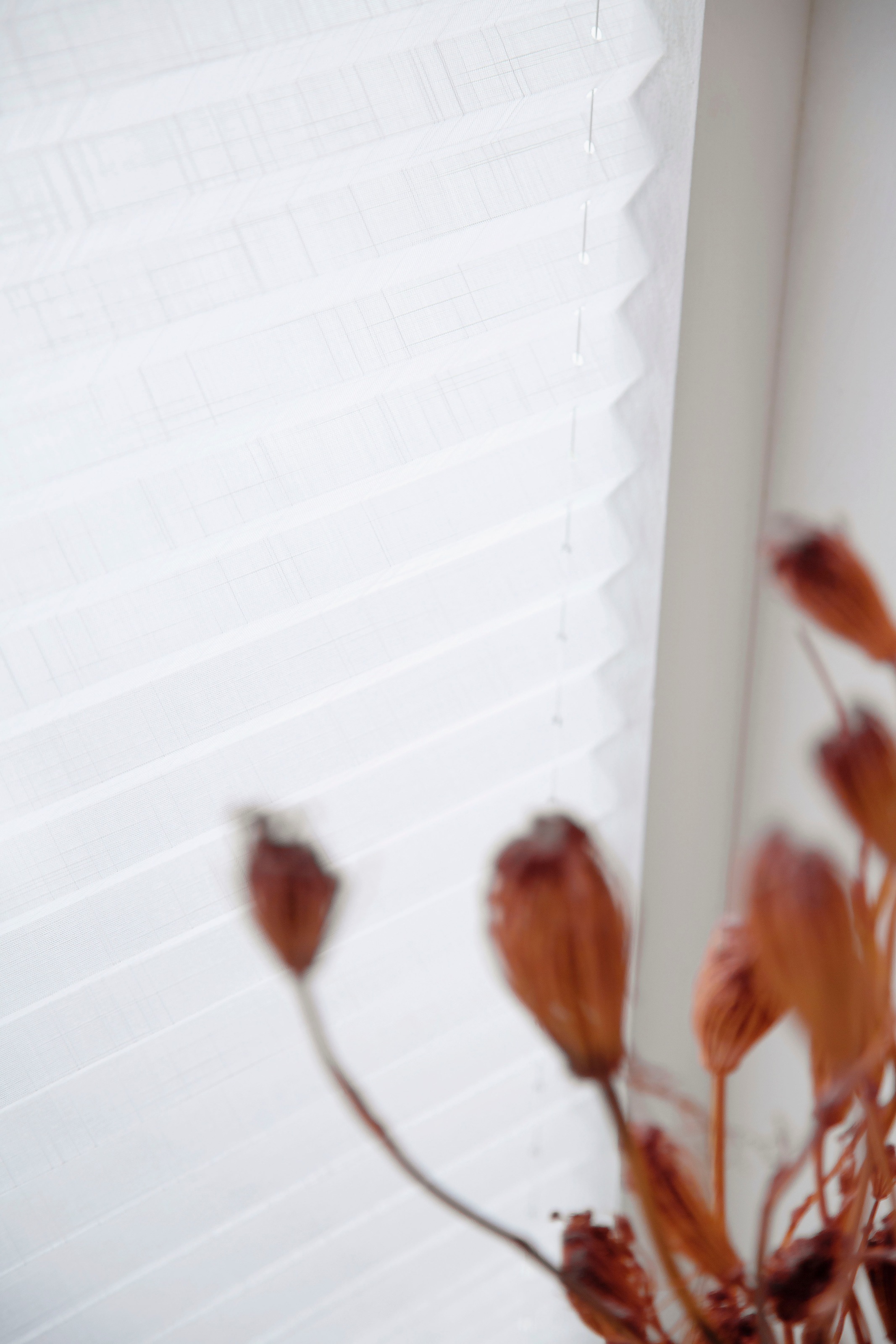 SCHÖNER WOHNEN-Kollektion Plissee »Marla«, blickdicht, mit Bohren, verspannt, verschraubt, mit Leinen-Optik