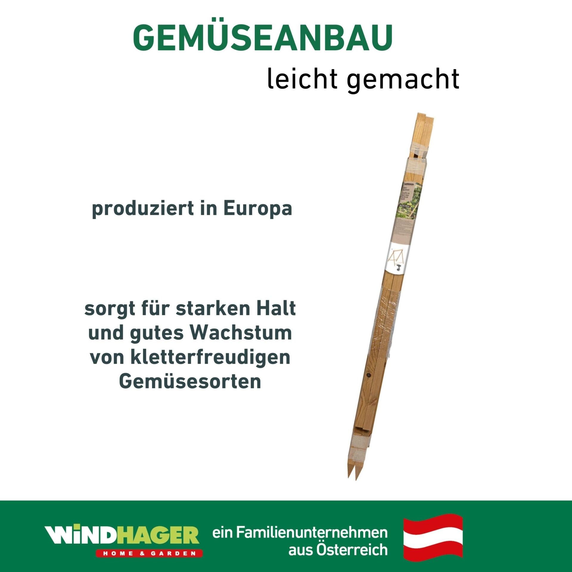 Windhager Rankgitter »Holz-Rankzelt für Blumen und Gemüsepflanzen« Klettterhilfe für den Garten, 90 x 75 x 105 cm