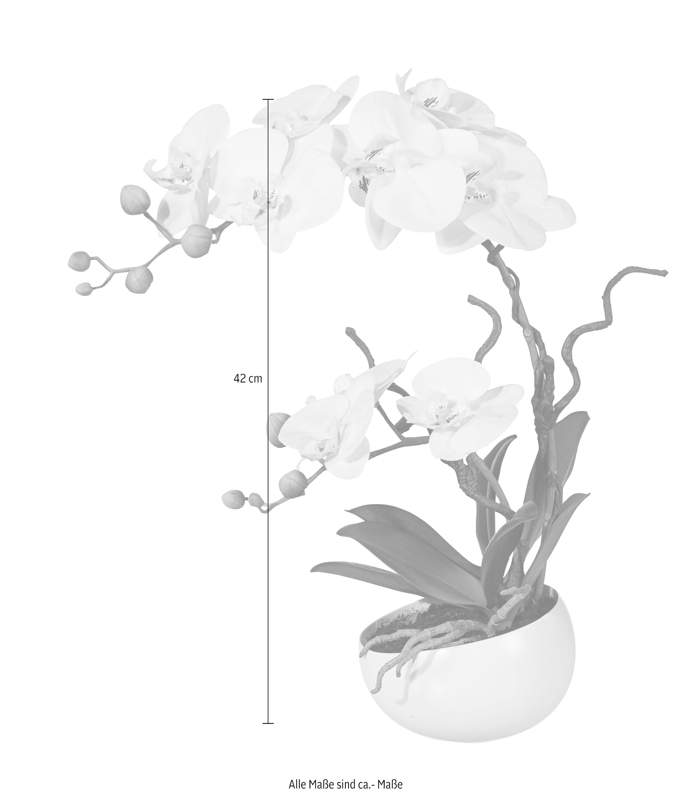 Creativ green Kunstpflanze »Orchidee« auf Rechnung kaufen