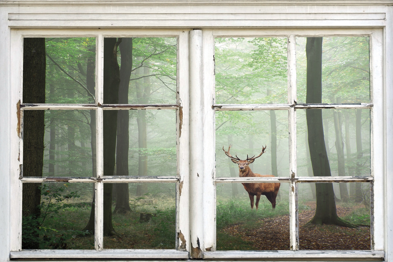queence Leinwandbild »Wald«, Natur-Bäume-Tiere-Hirsch-Hirschbilder-Landschaft-Wald-Waldbilder-Fensterblick, (1 St.), Premium-Leinwandstoff, Handarbeit aus Deutschland