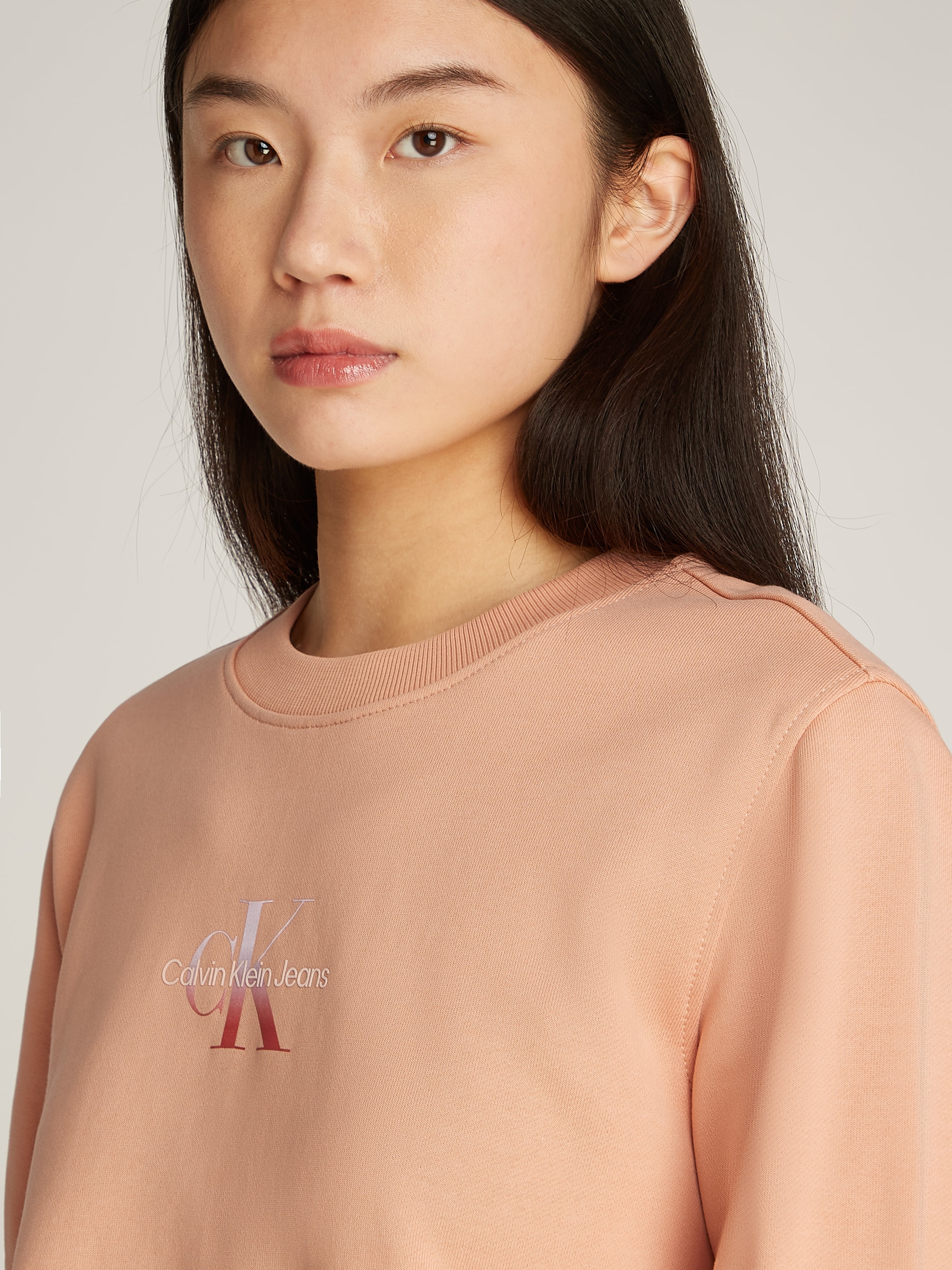 Calvin Klein Jeans Sweatshirt »GRADIENT MONOLOGO CREWNECK«, mit Logo