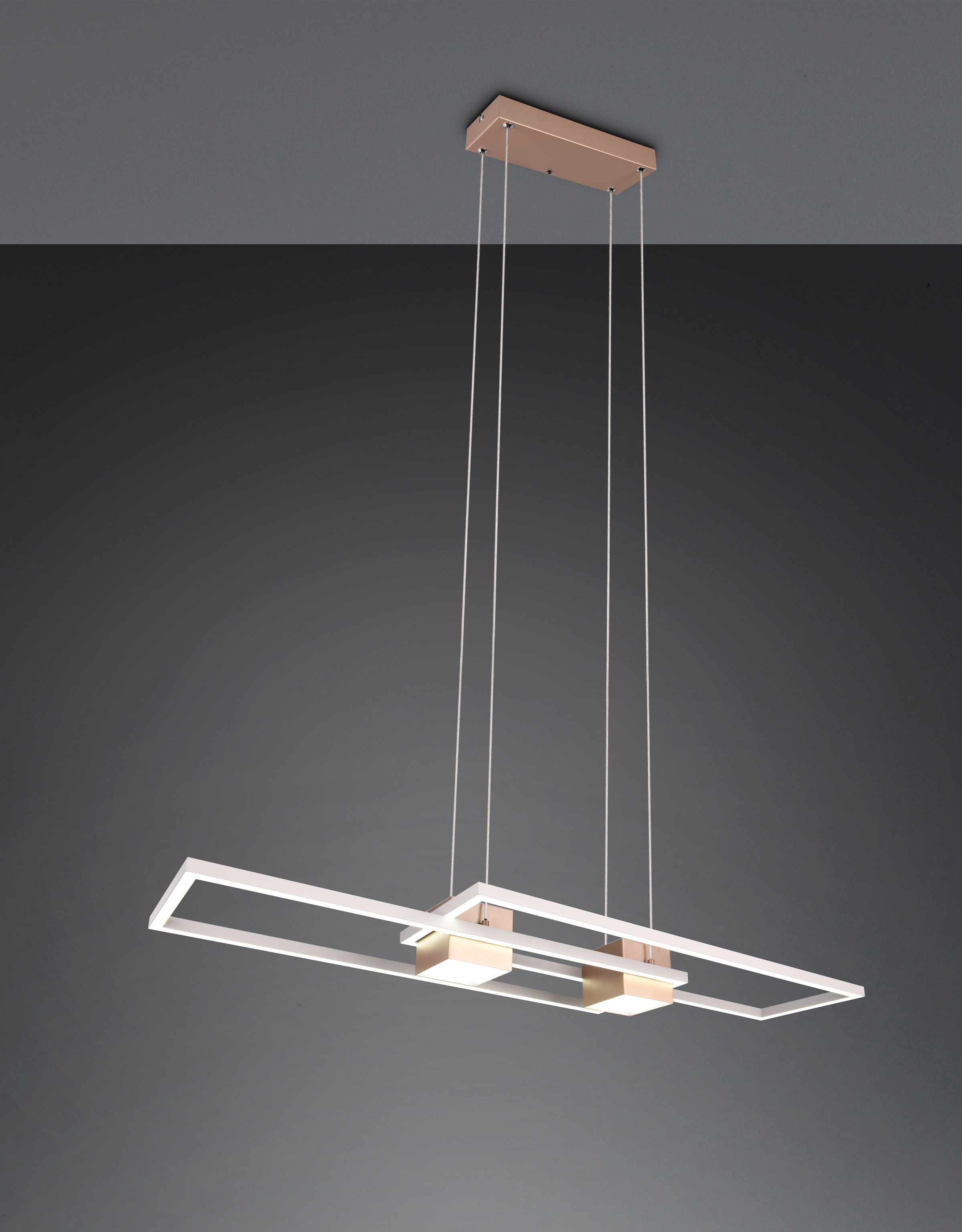 TRIO Leuchten LED Pendelleuchte »ALBANY, LED Hängelampe Wohnzimmer mit Fernbedienung, dimmbar, CCT«, 1 flammig, Leuchtmittel LED-Board | LED fest integriert, Lichtfarbe einstellbar, Memoryfunktion, Nachtlicht, up-and-down Licht