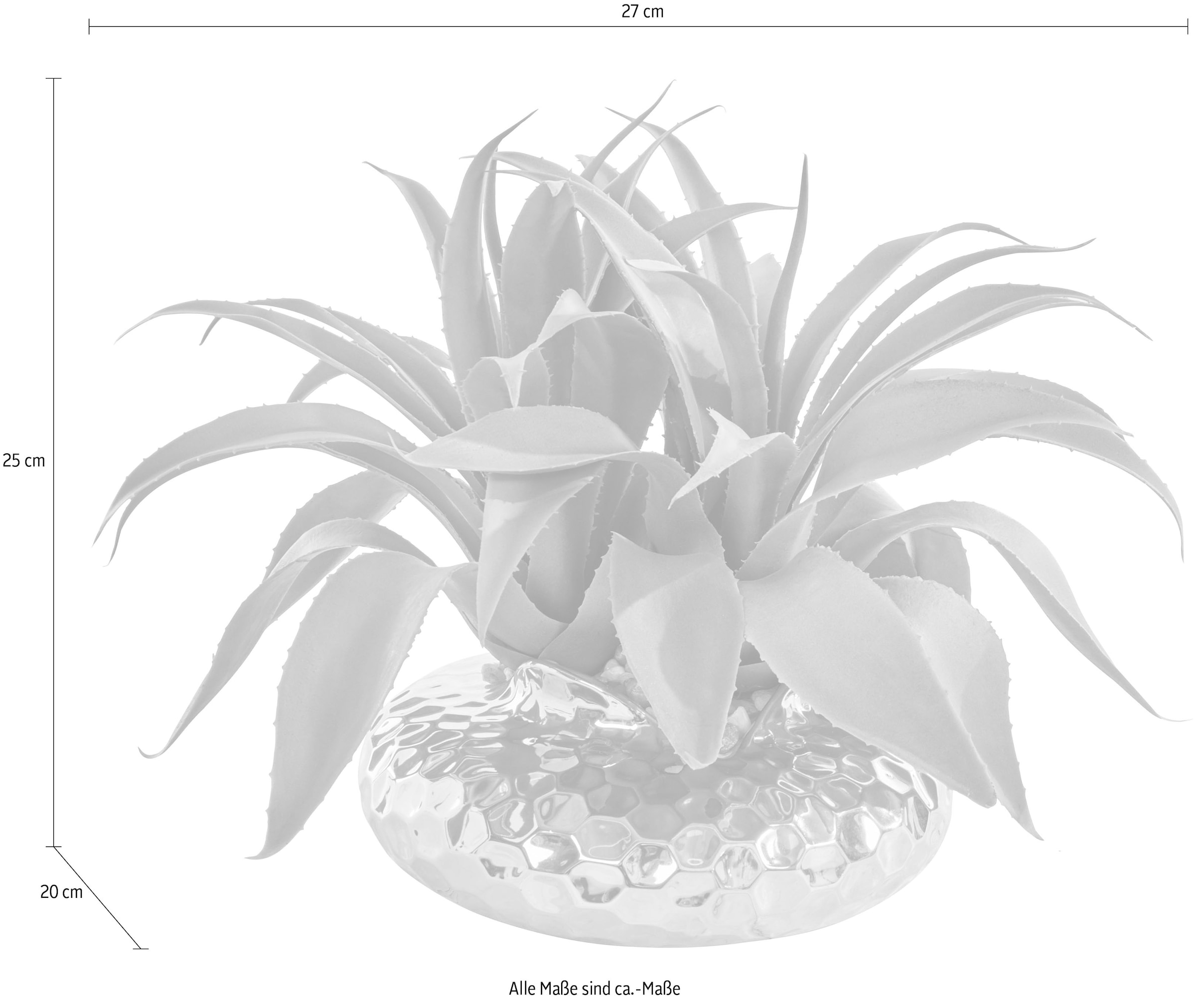 Kunstpflanze Sukkulente, Home&Living »Agatelo«, im bestellen Topf online Kretschmer Guido Maria