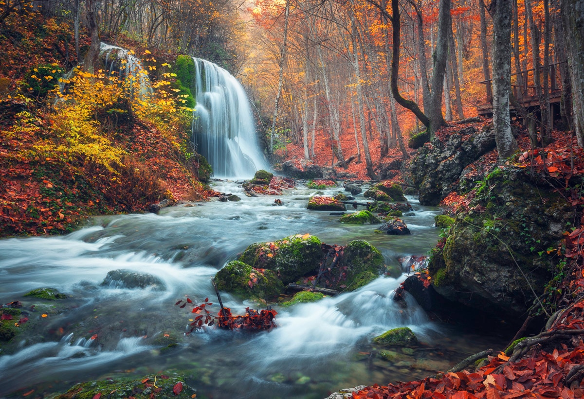 Papermoon Fototapete »Wasserfall im Wald« günstig online kaufen