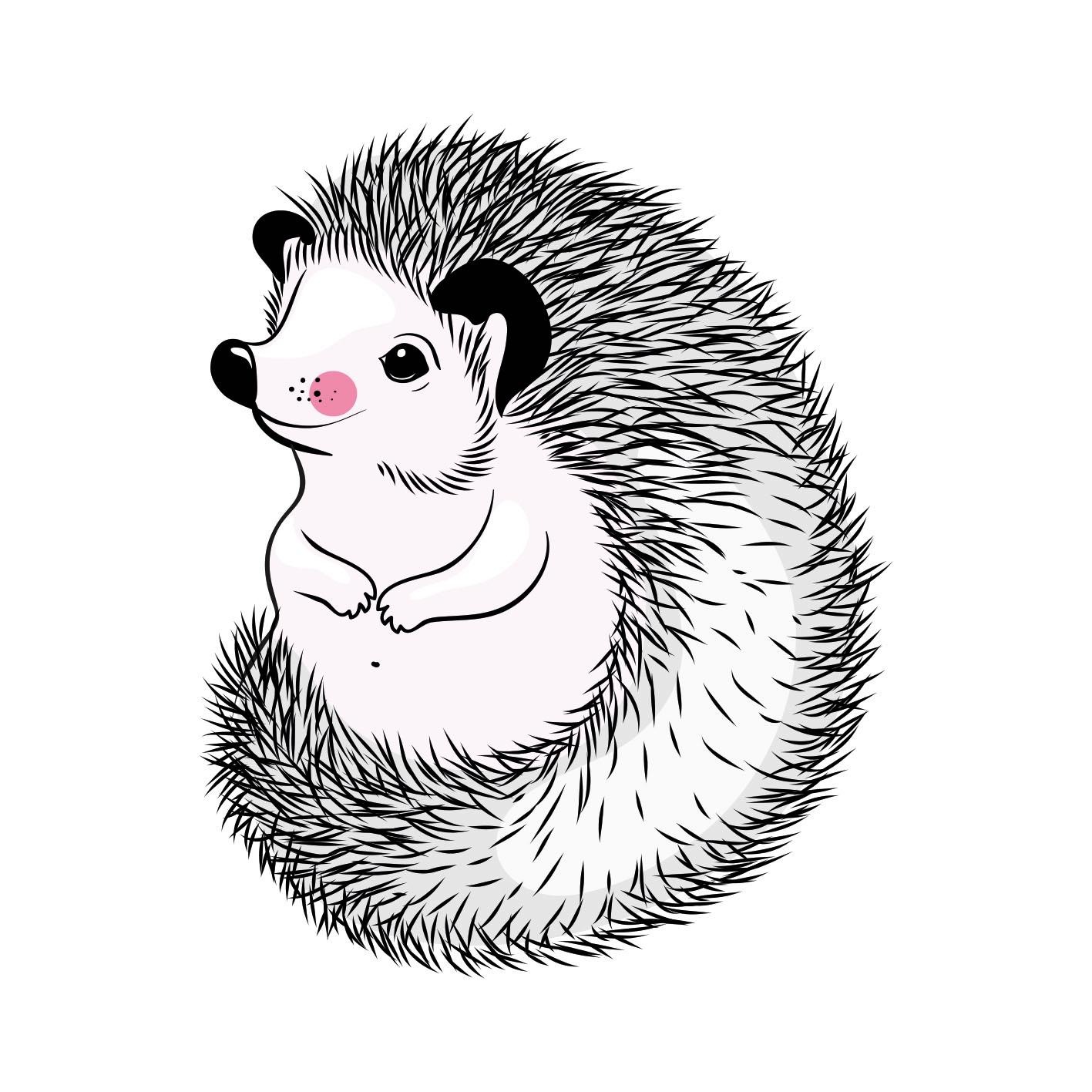queence Dekokissen »»Igel««, Kissenhülle ohne Füllung, 1 Stück günstig online kaufen