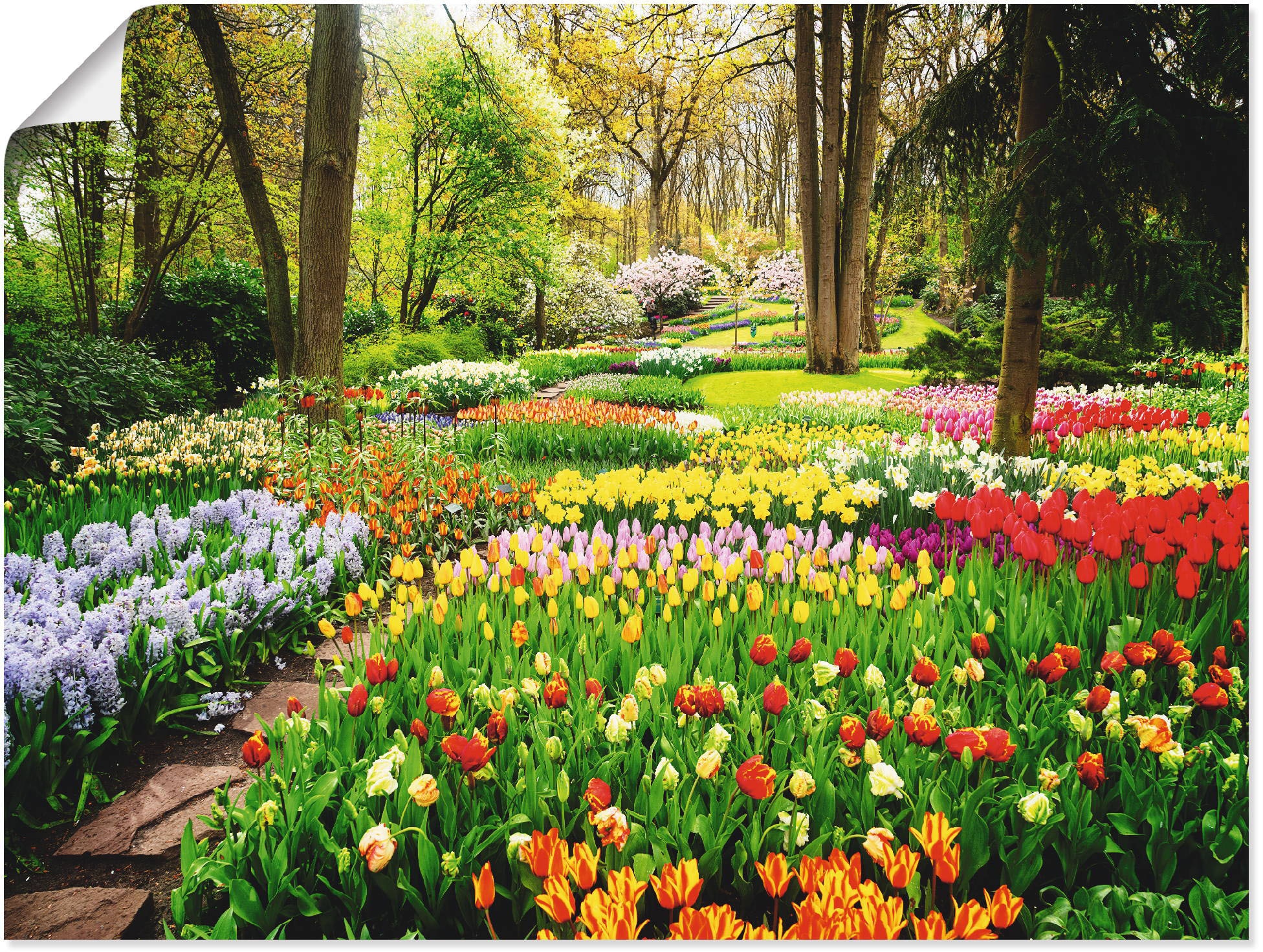 Artland Wandbild »Tulpen Garten Frühling«, Rechnung auf (1 Blumenwiese, St.) kaufen