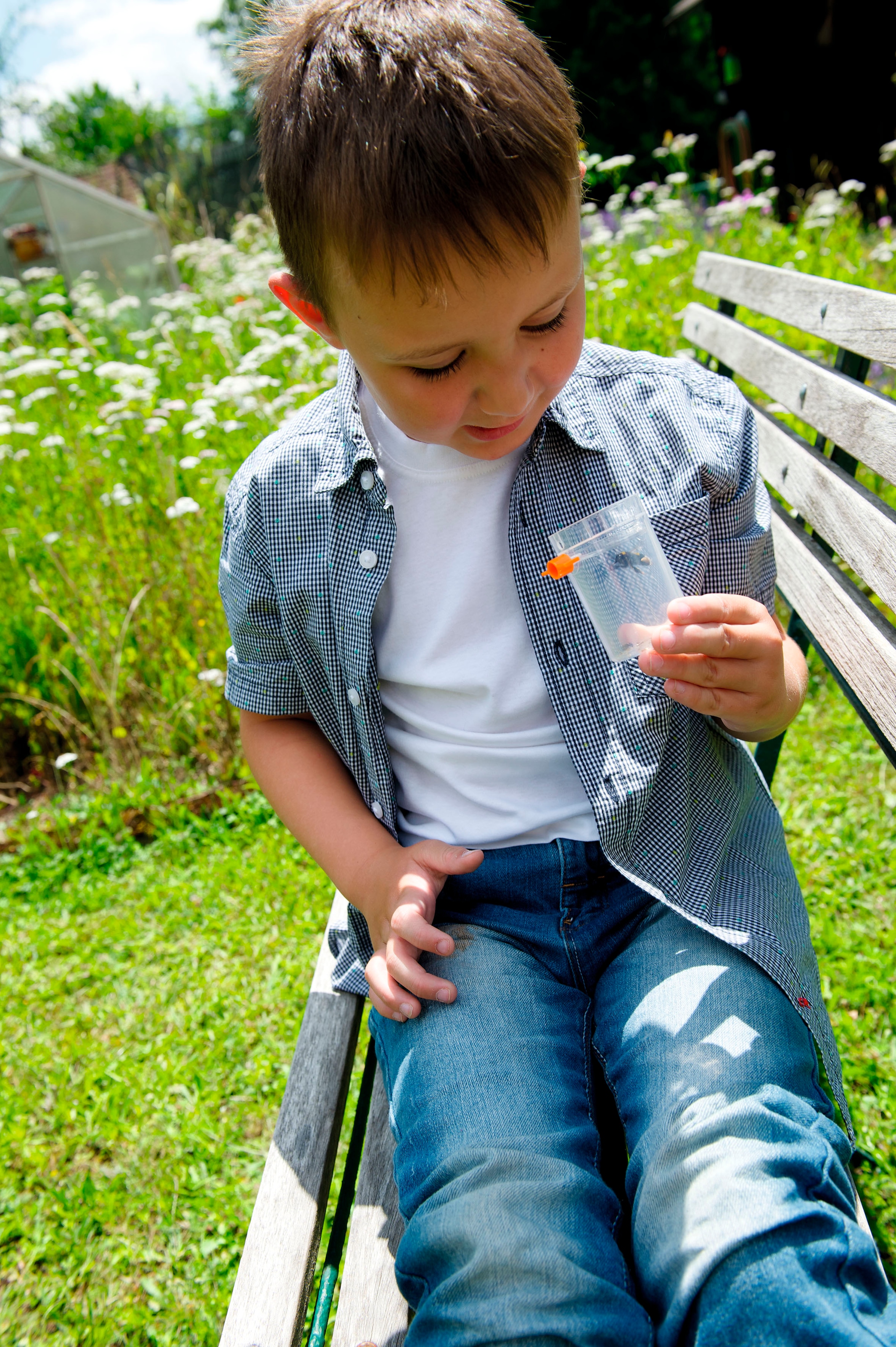 Haba Kreativset »Insektensauger Terra Kids«