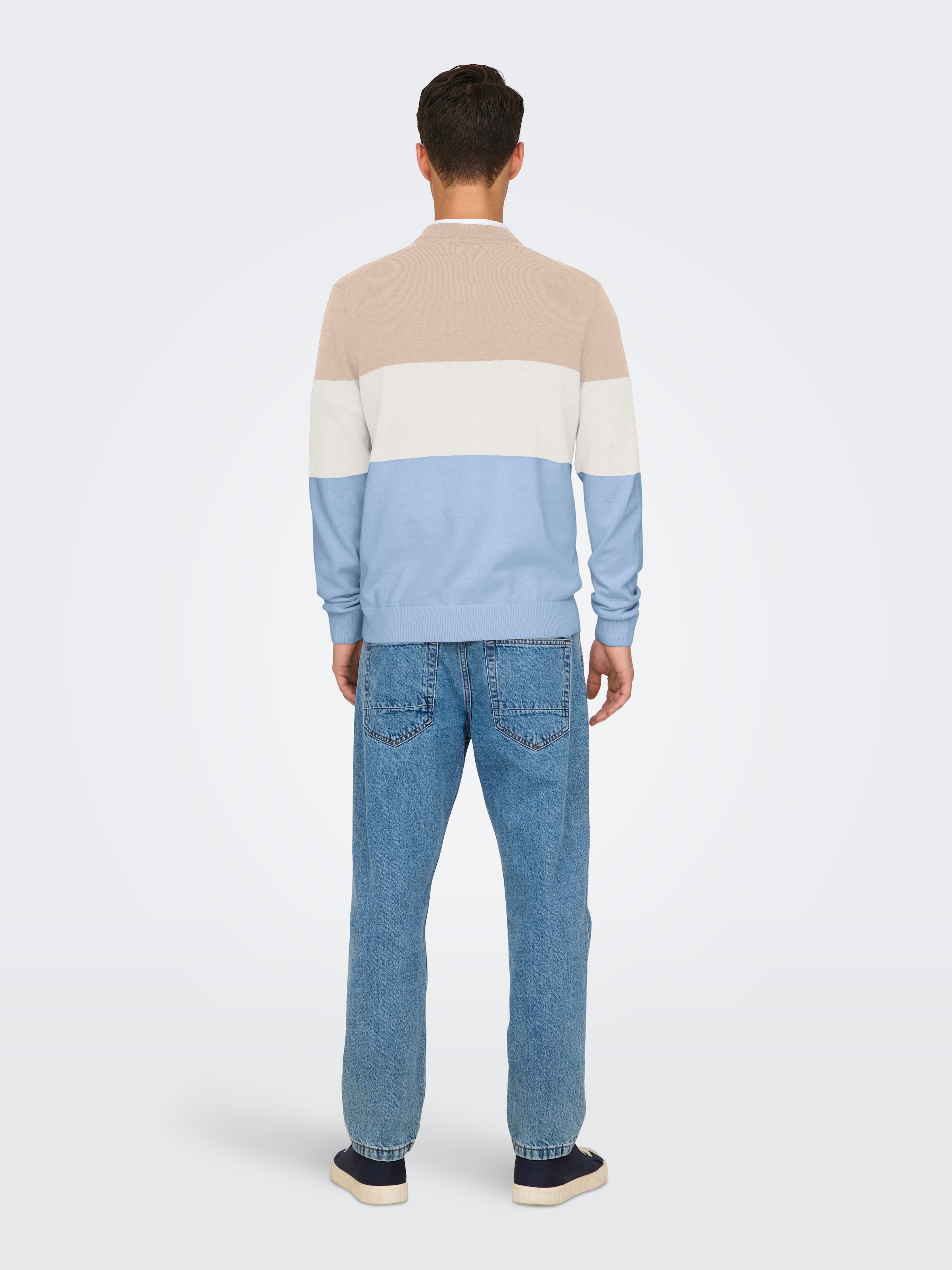 ONLY & SONS Rundhalspullover »ONSREX LIFE REG 12 CREW KNIT«