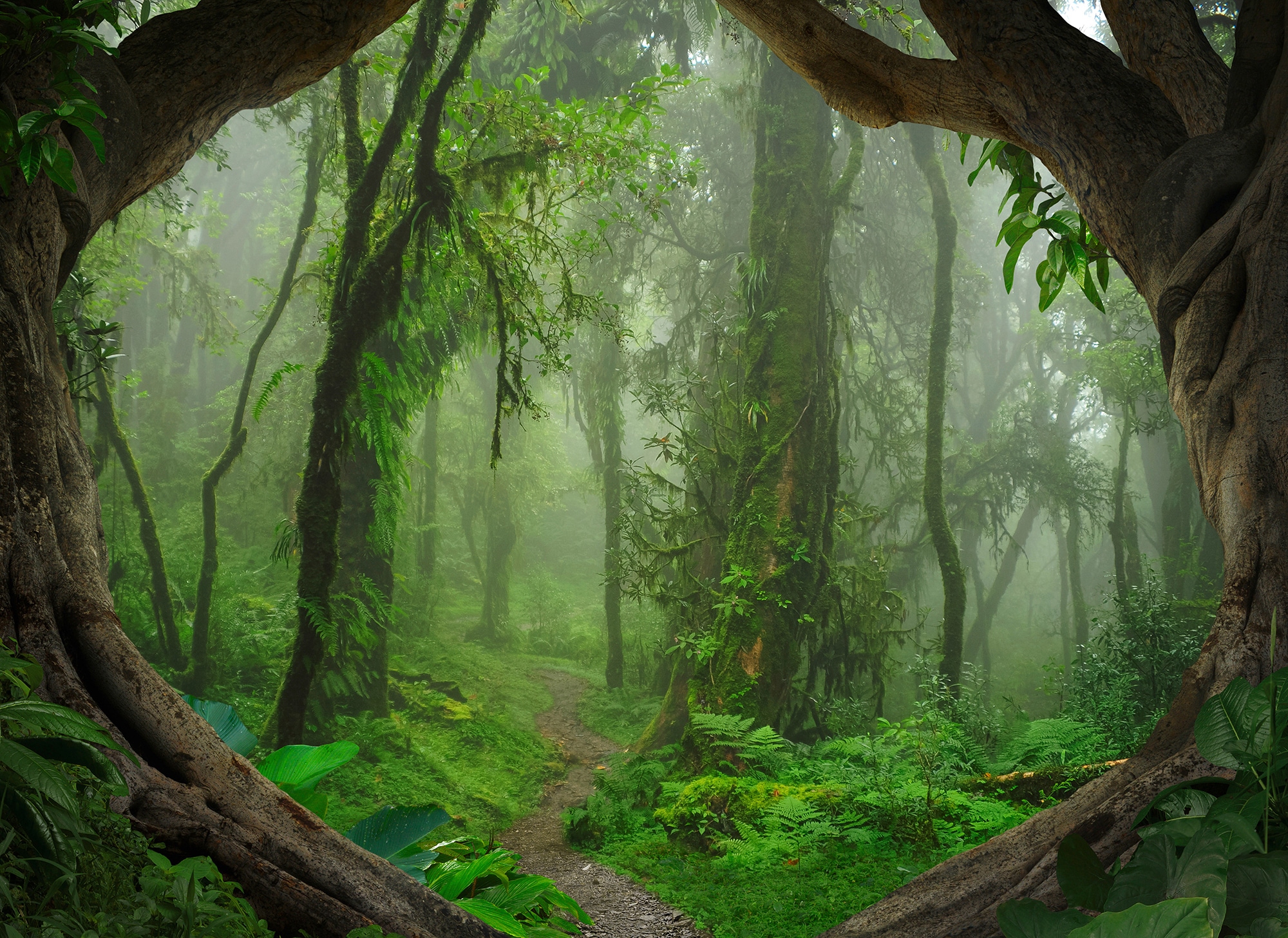 Fototapete »Designwalls Tropical Forest«, Vlies, Wand, Schräge, Decke