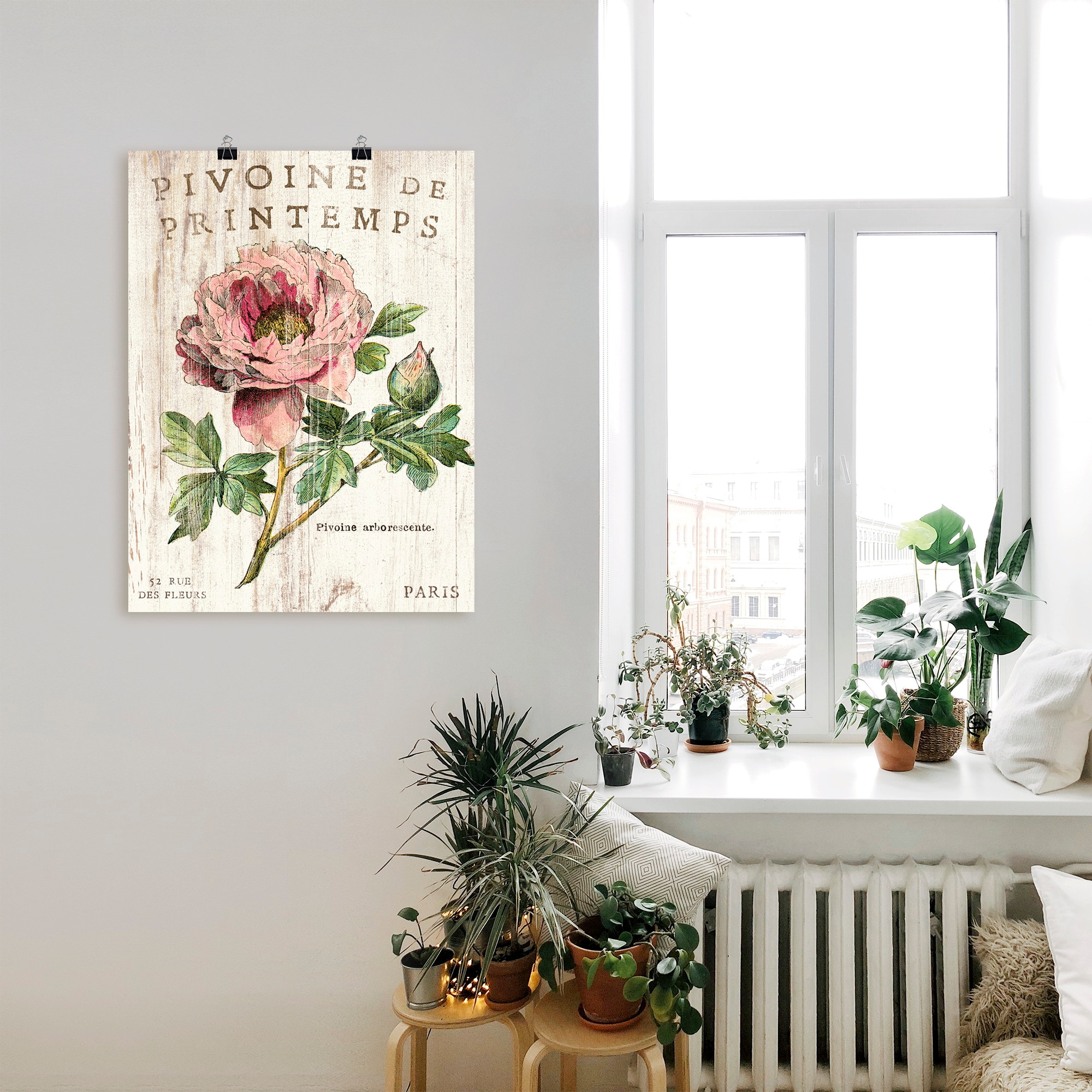 Artland Poster »Pfingstrose« Blumen 1 Stk. tlg. ohne Rahmen