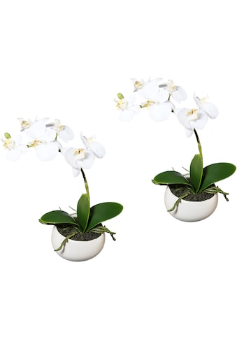 Creativ green Kunstorchidee »Phalaenopsis«, (2 St.), 2er Set, in Keramikschale kaufen