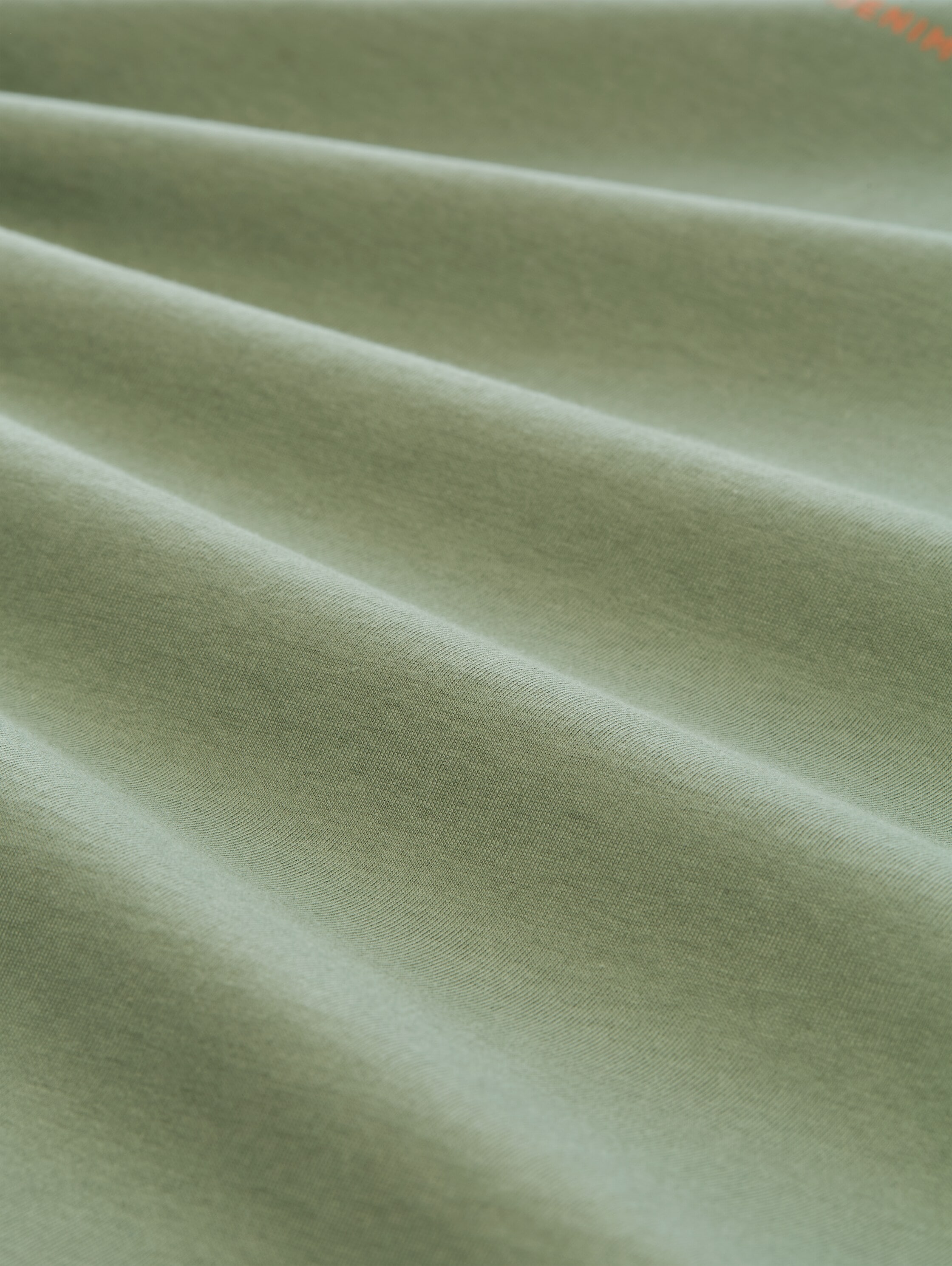 TOM TAILOR Denim Kurzarmshirt mit großem Rückenprint