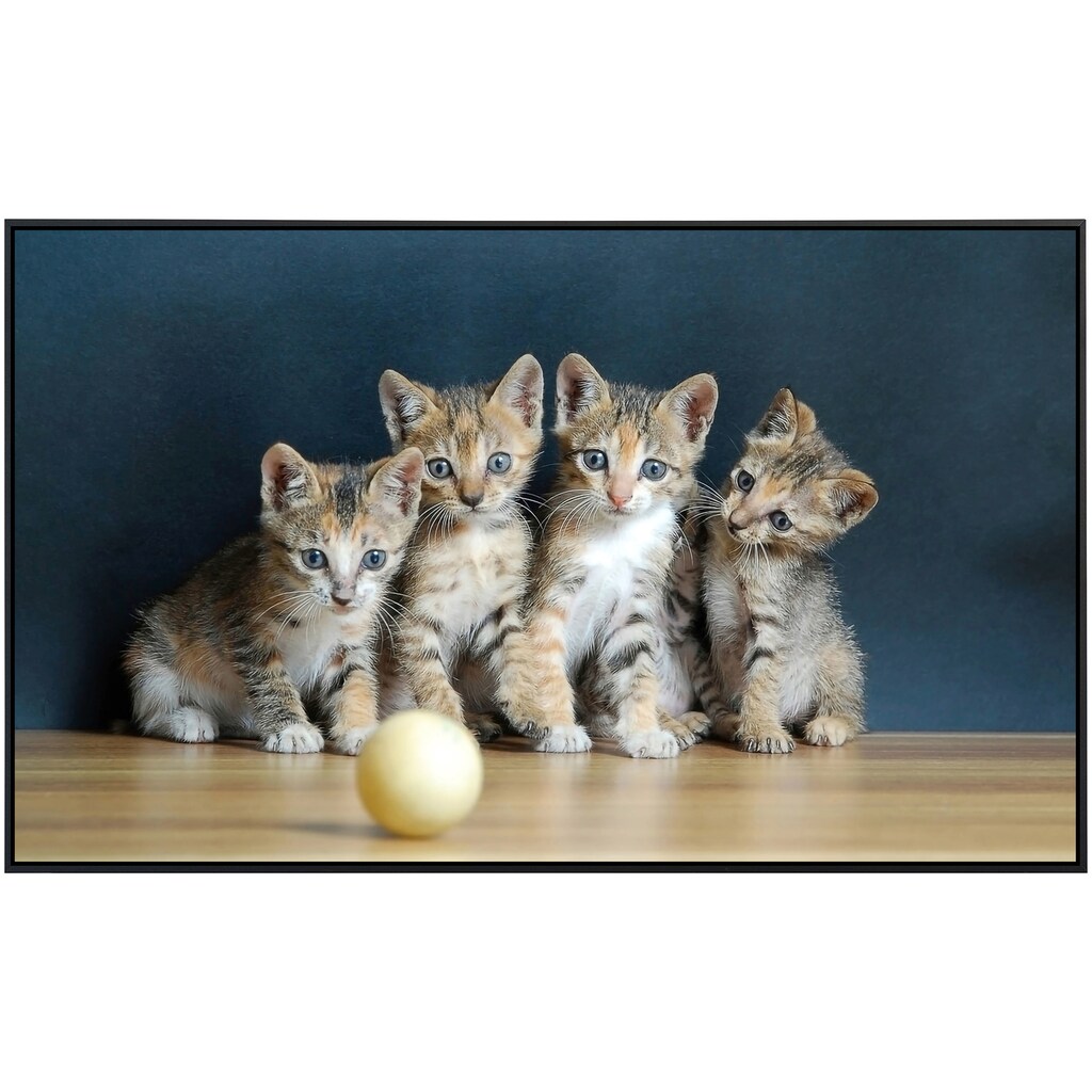Papermoon Infrarotheizung »Süße katzen«