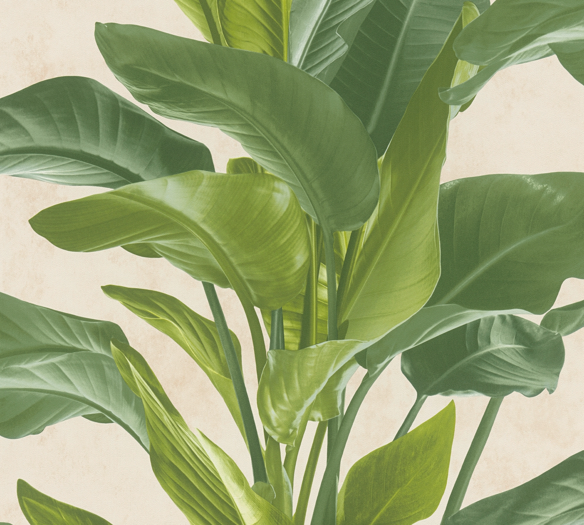 living walls Vliestapete »Metropolitan Stories, Antonio Barcelona« botanisch | geblümt | tropisch leicht strukturiert Tapete Blumen Tapeten Wohnzimmer Schlafzimmer Küche modern Design Büro