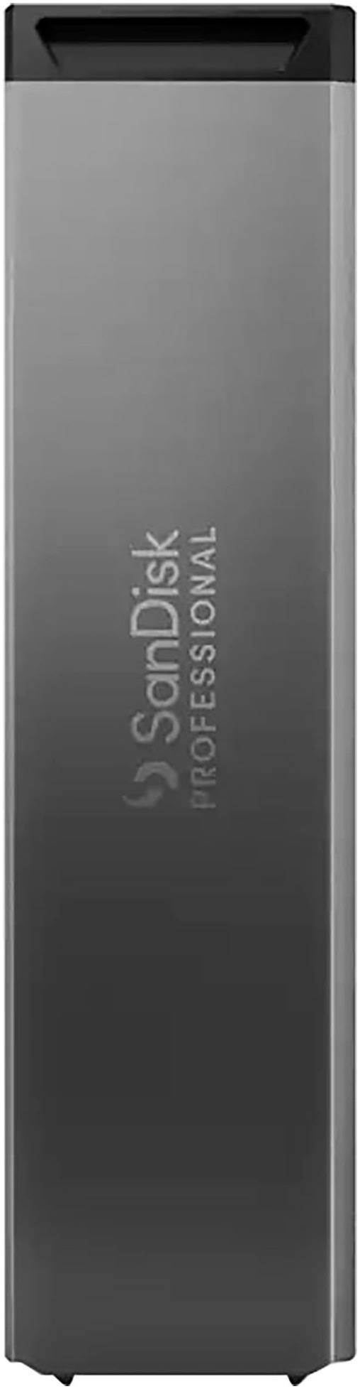 Sandisk SSD-Festplatte »PRO-BLADE SSD Mag 1TB«