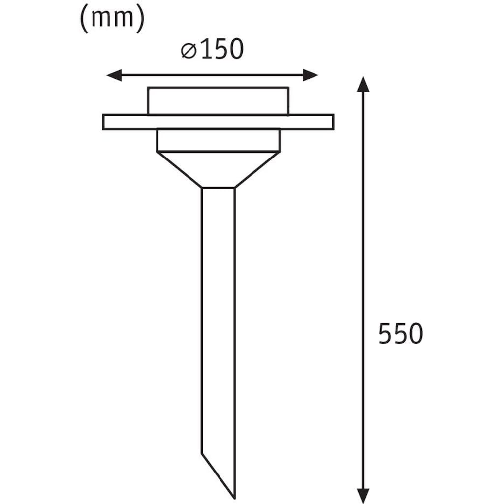 Paulmann LED Gartenleuchte »Solarspieß Ufo IP44 LED 1x0,2W Edelstahl/Klar Edelstahl/Glas«, 1 flammig-flammig