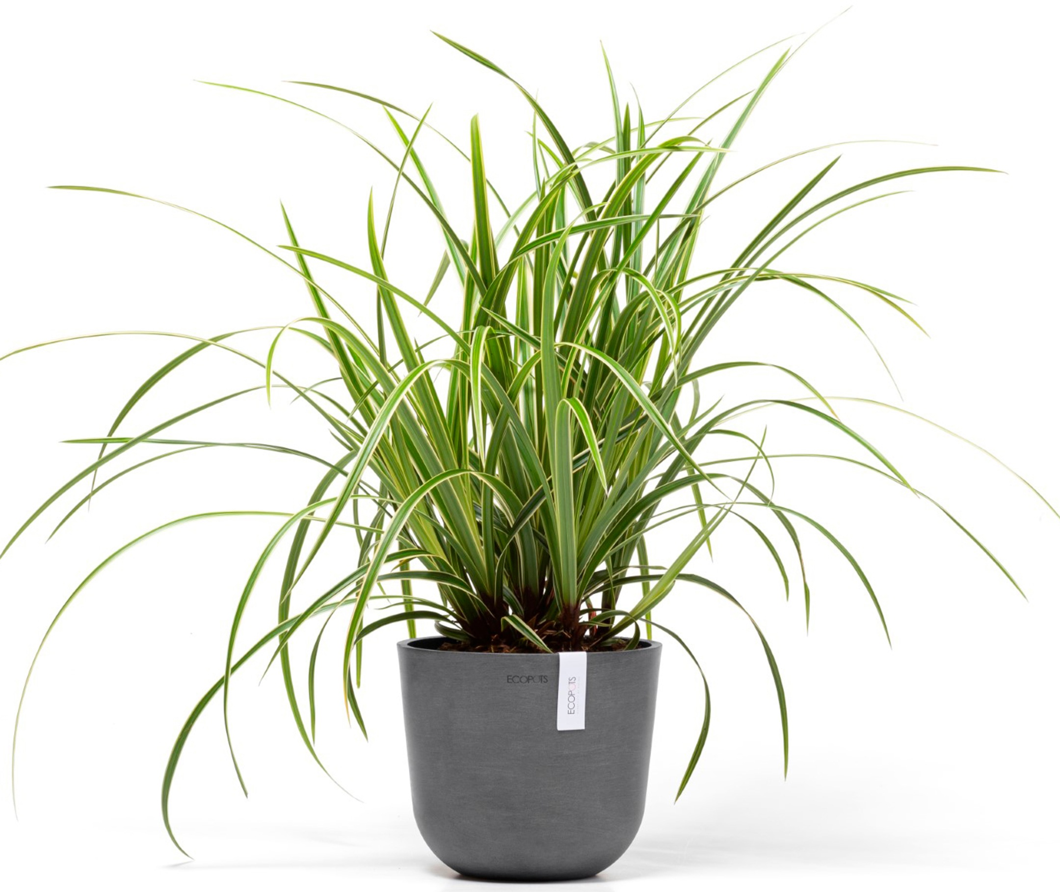 ECOPOTS Blumentopf »Oslo Mini 19 Grau«, für den Innenbereich