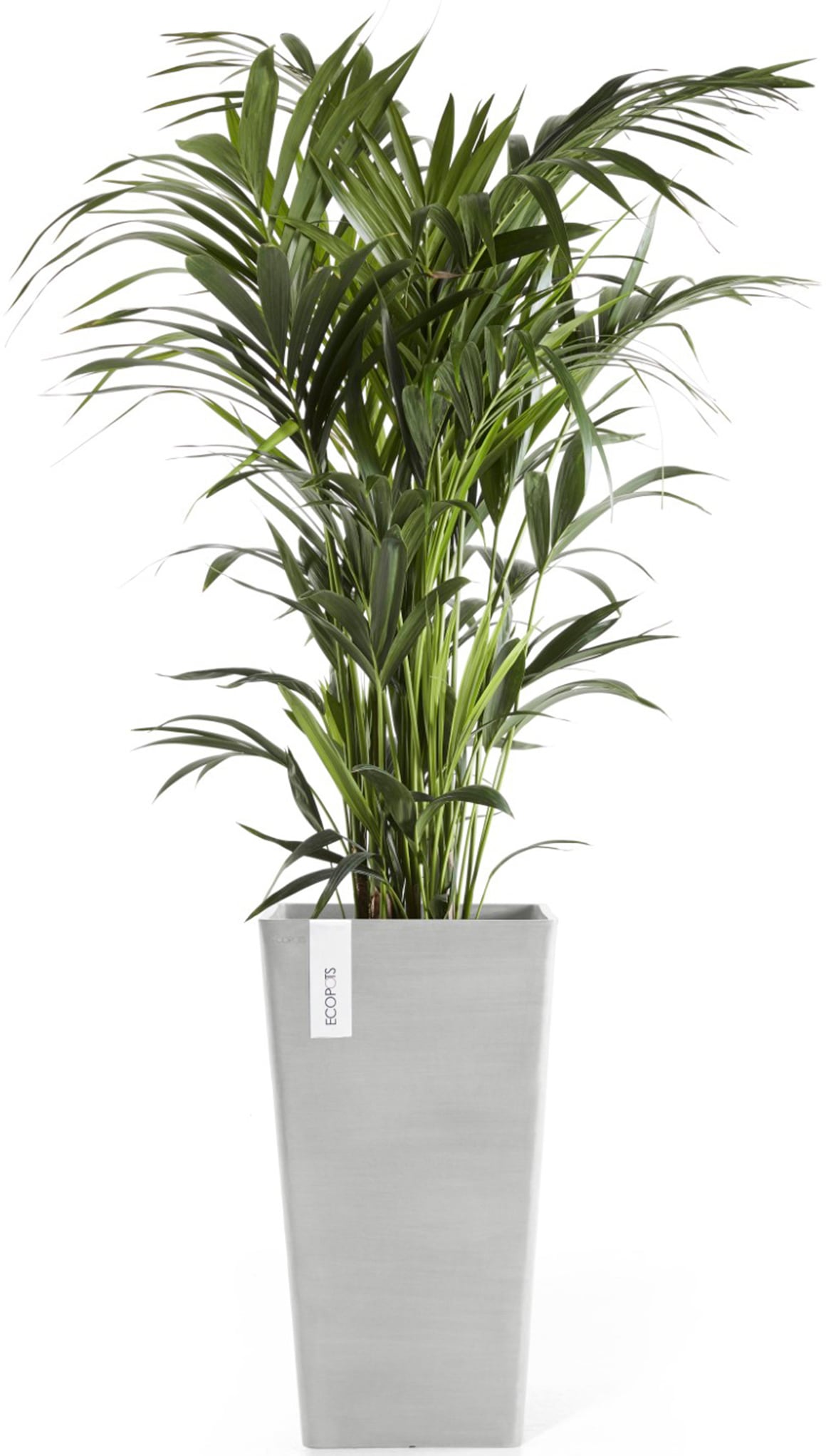 ECOPOTS Blumentopf »Rotterdam halbhoch 56 Weißgrau« für innen und außen: frostsicher, bruchsicher und lichtbeständig