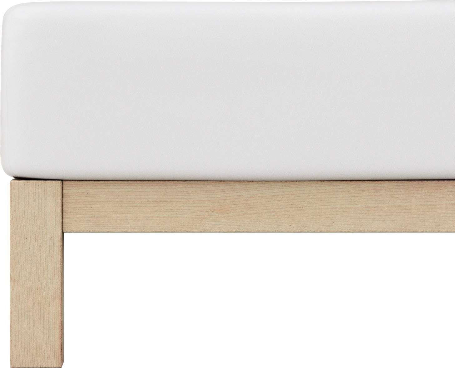 Schlafgut Spannbettlaken »PURE Bio-Baumwolle mit Elasthan, dehnbar blickdic günstig online kaufen