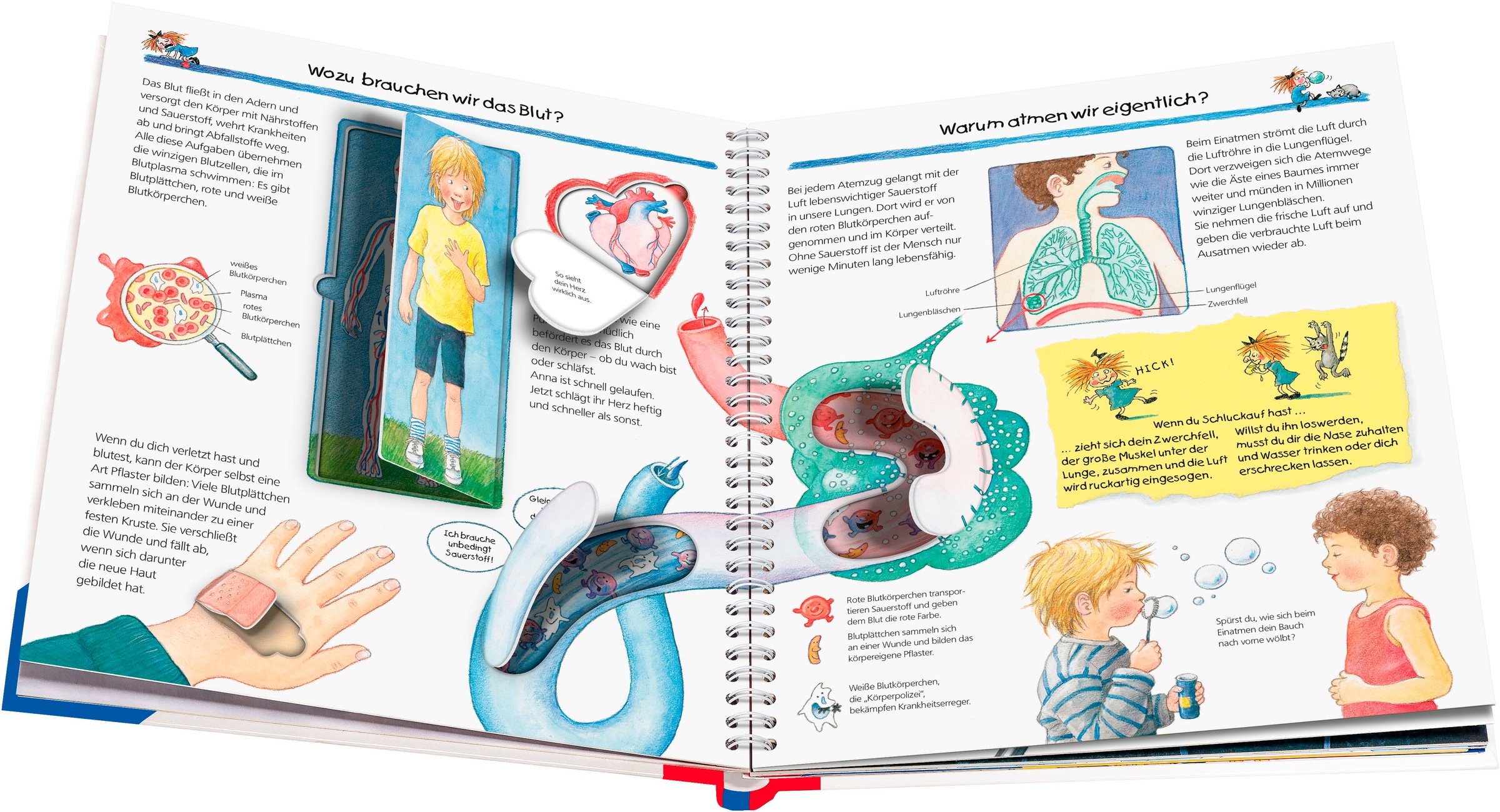 Ravensburger Kinderbuch »Wieso? Weshalb? Warum?, Band 1 Wir entdecken unseren Körper«